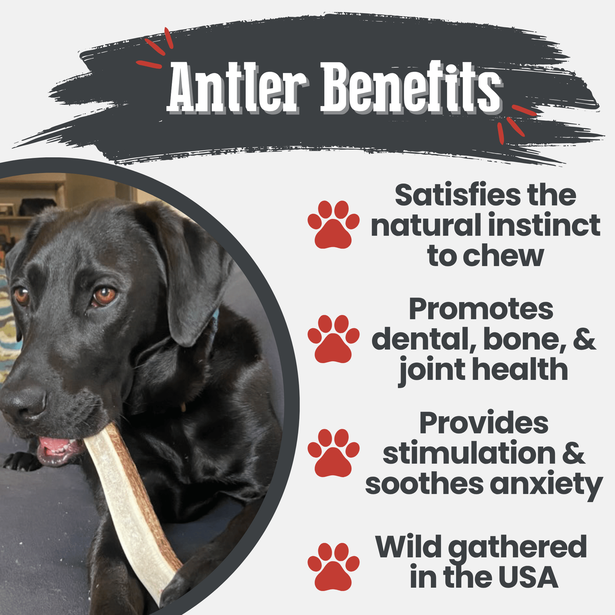 Farm To Pet Elk Antler Dog Chews