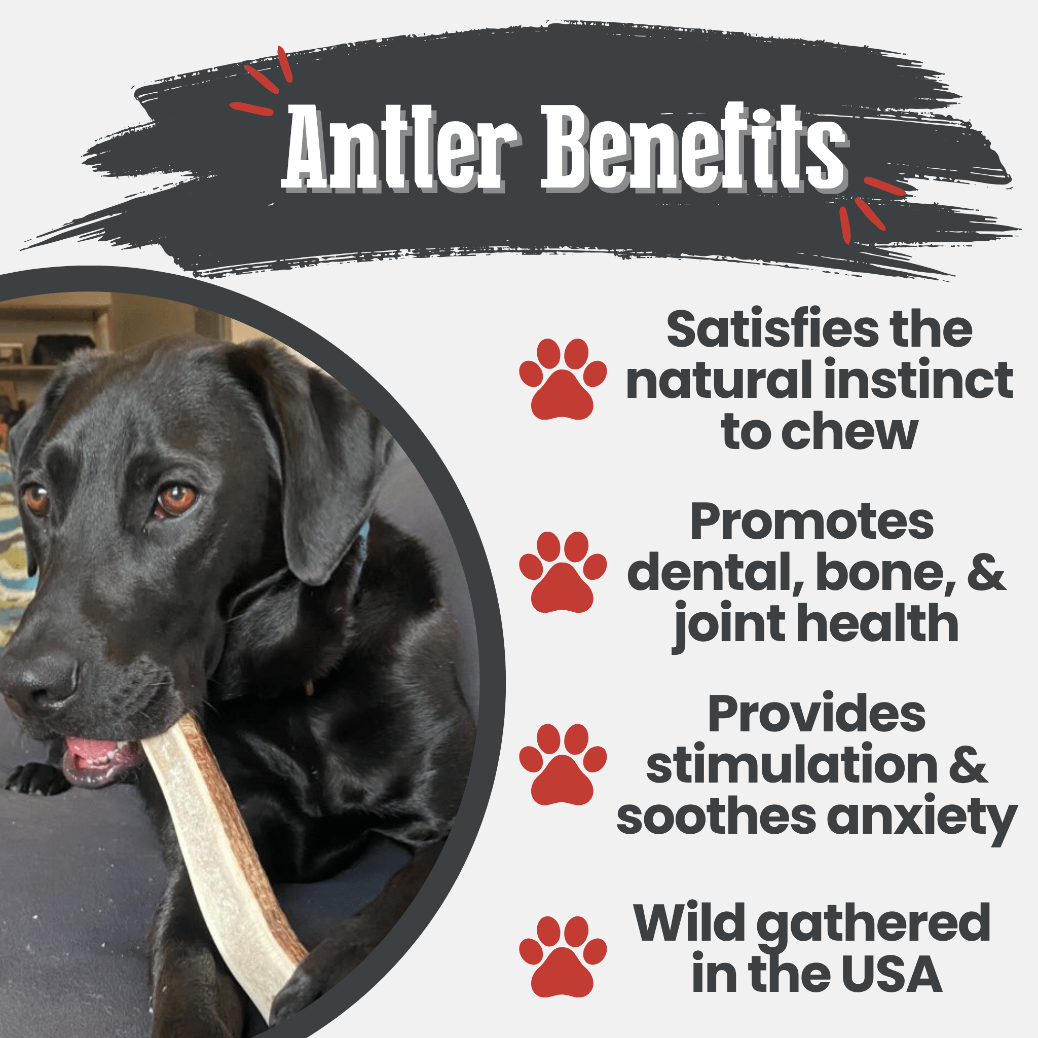 Farm To Pet Elk Antler Dog Chews