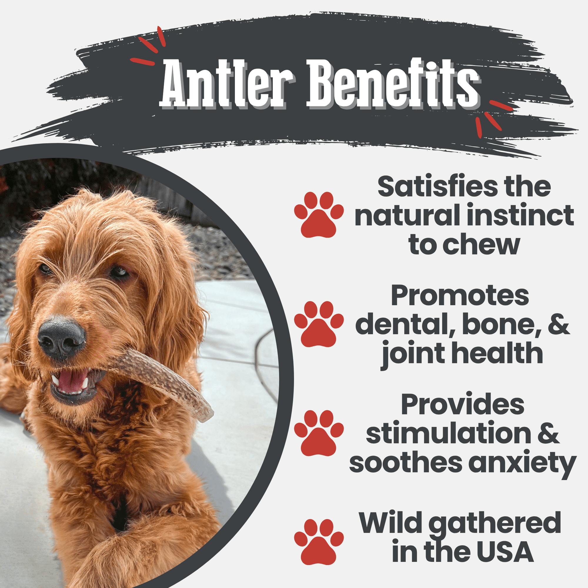 Farm To Pet Elk Antler Dog Chews