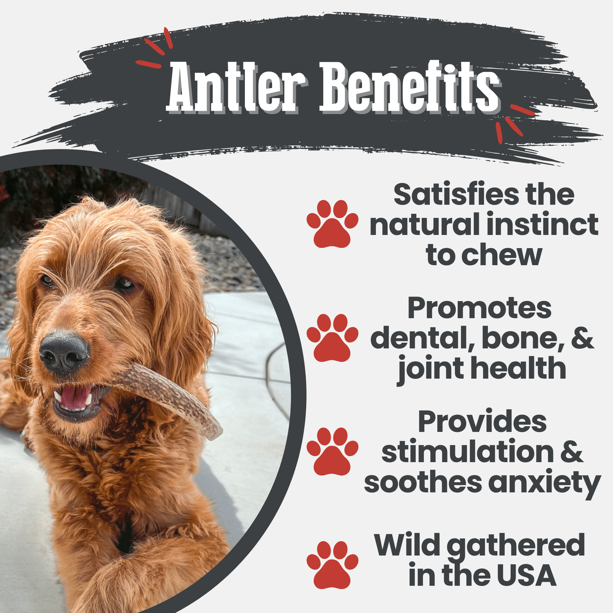 Farm To Pet Elk Antler Dog Chews