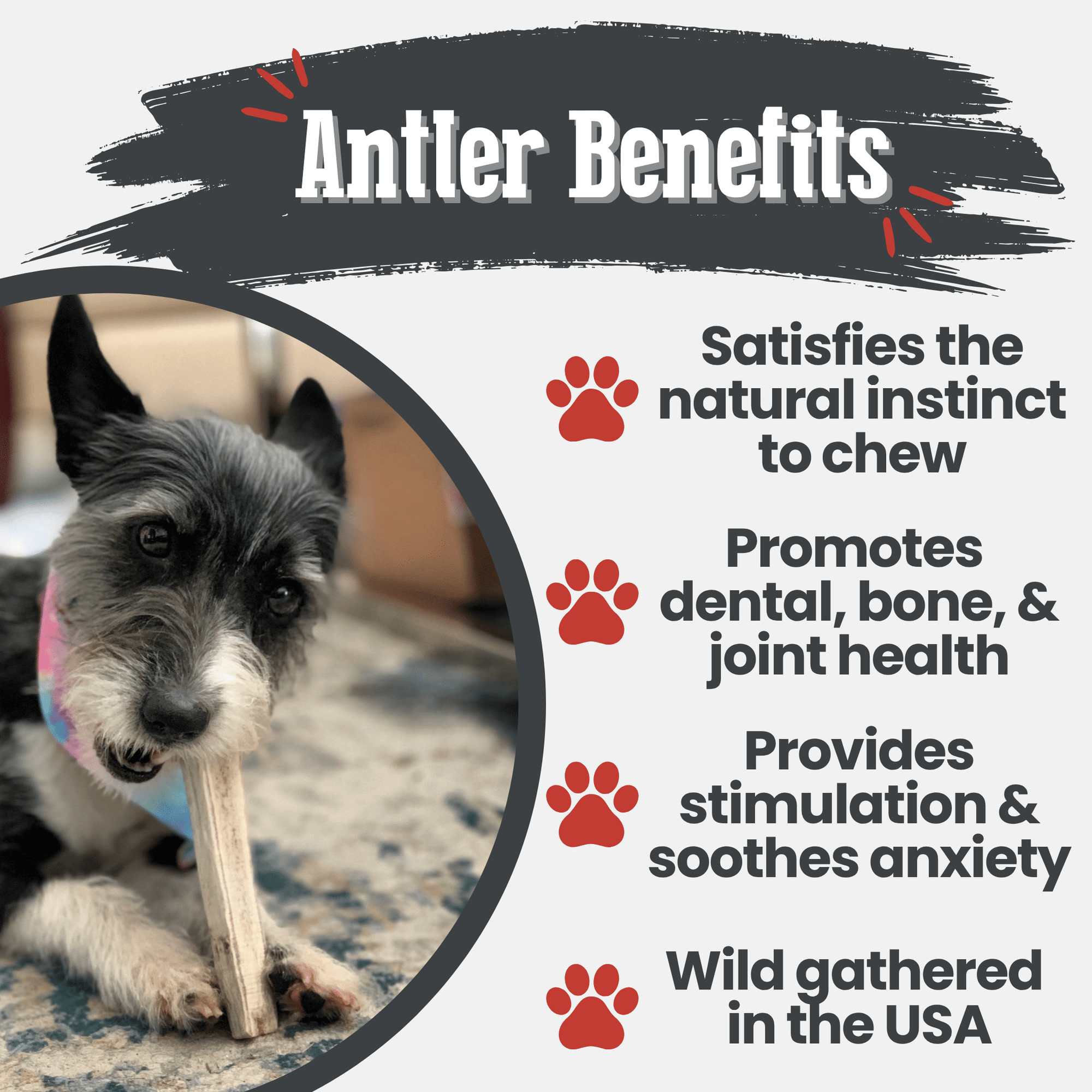 Farm To Pet Elk Antler Dog Chews