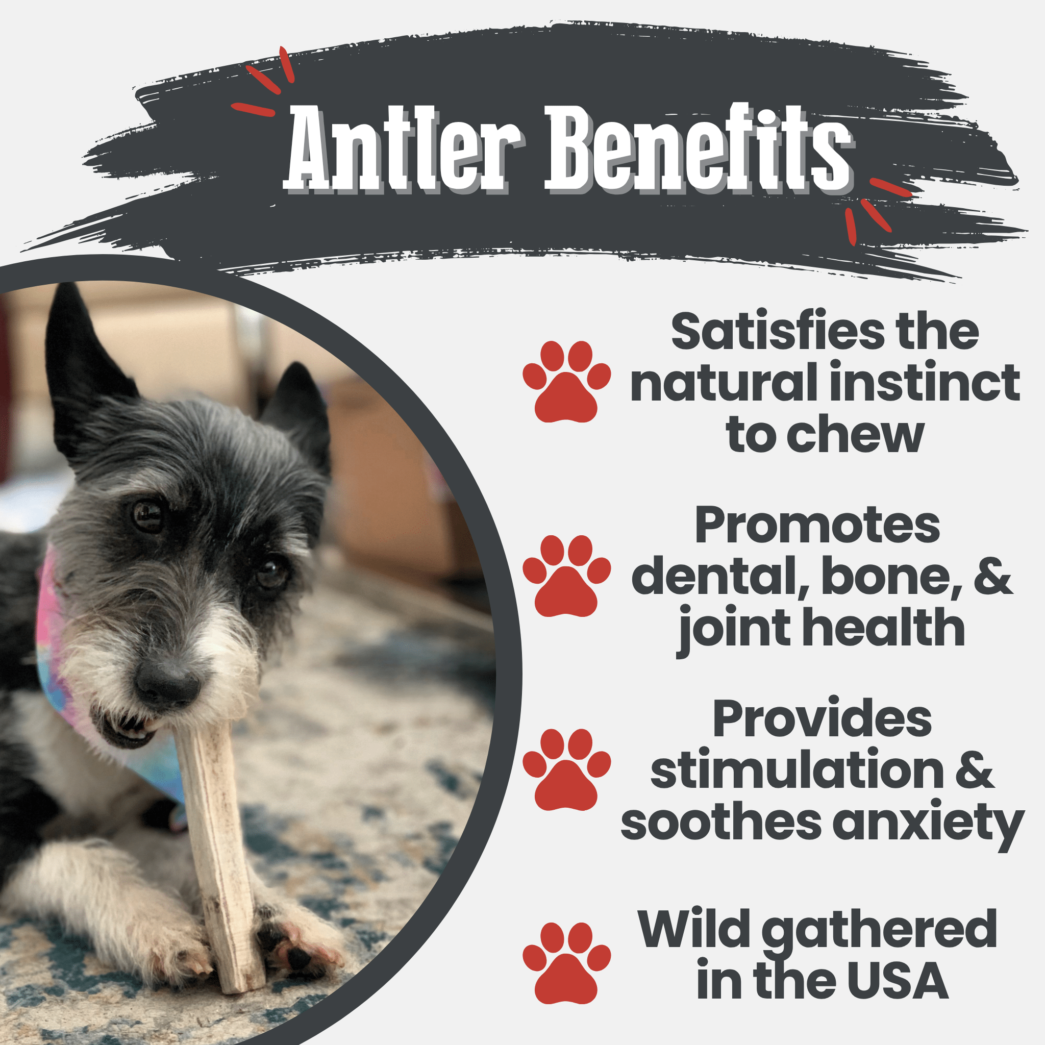 Farm To Pet Elk Antler Dog Chews