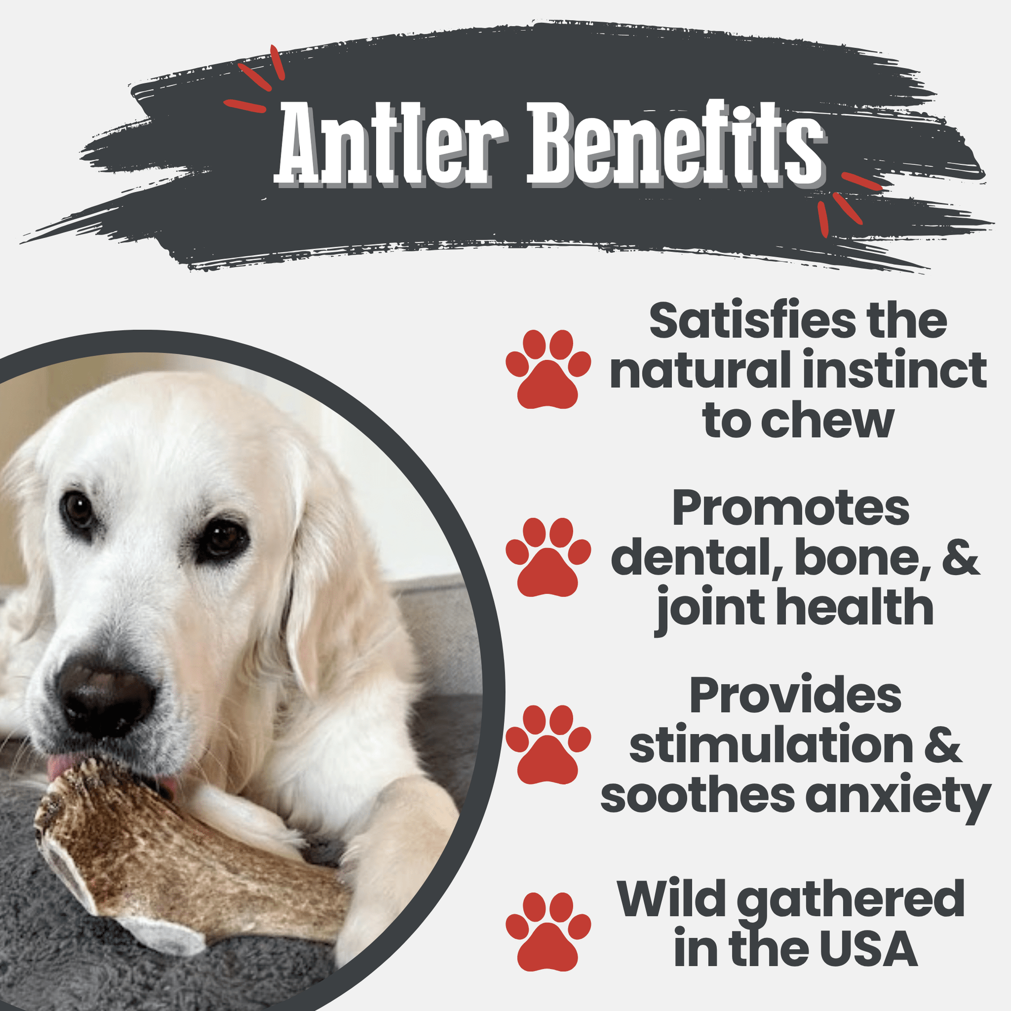 Farm To Pet Elk Antler Dog Chews