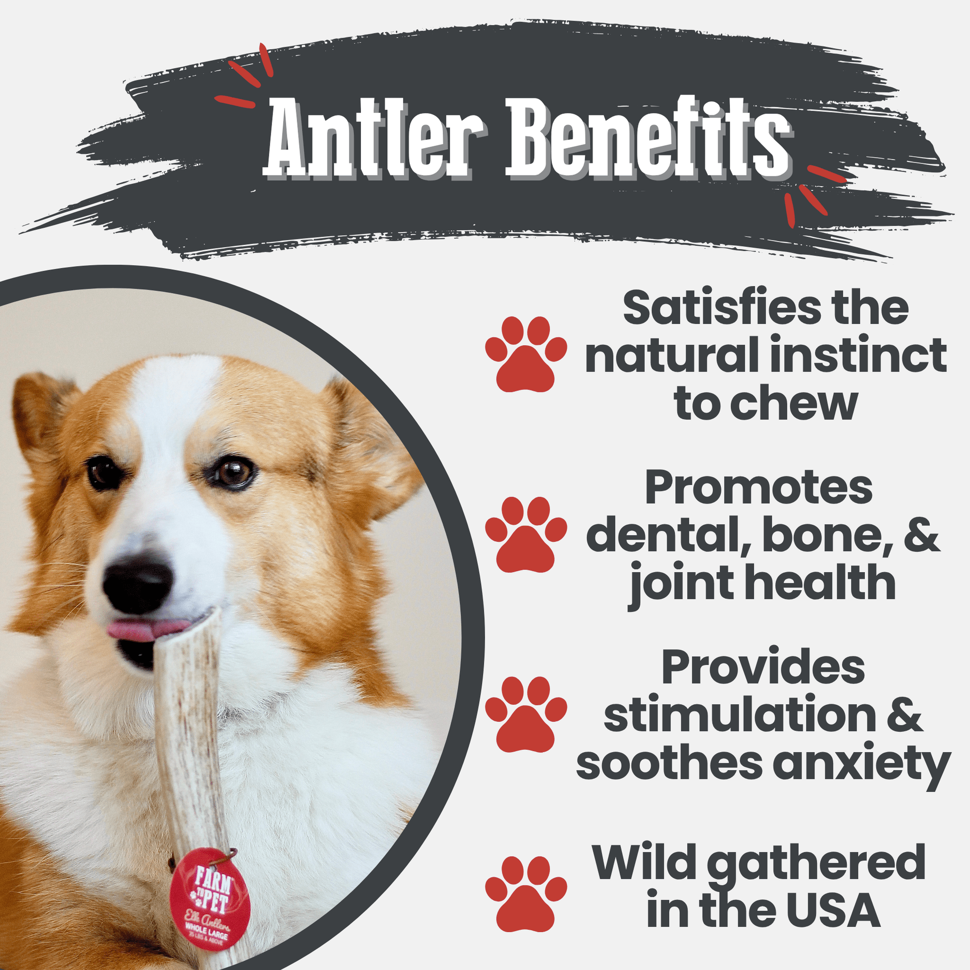 Farm To Pet Elk Antler Dog Chews