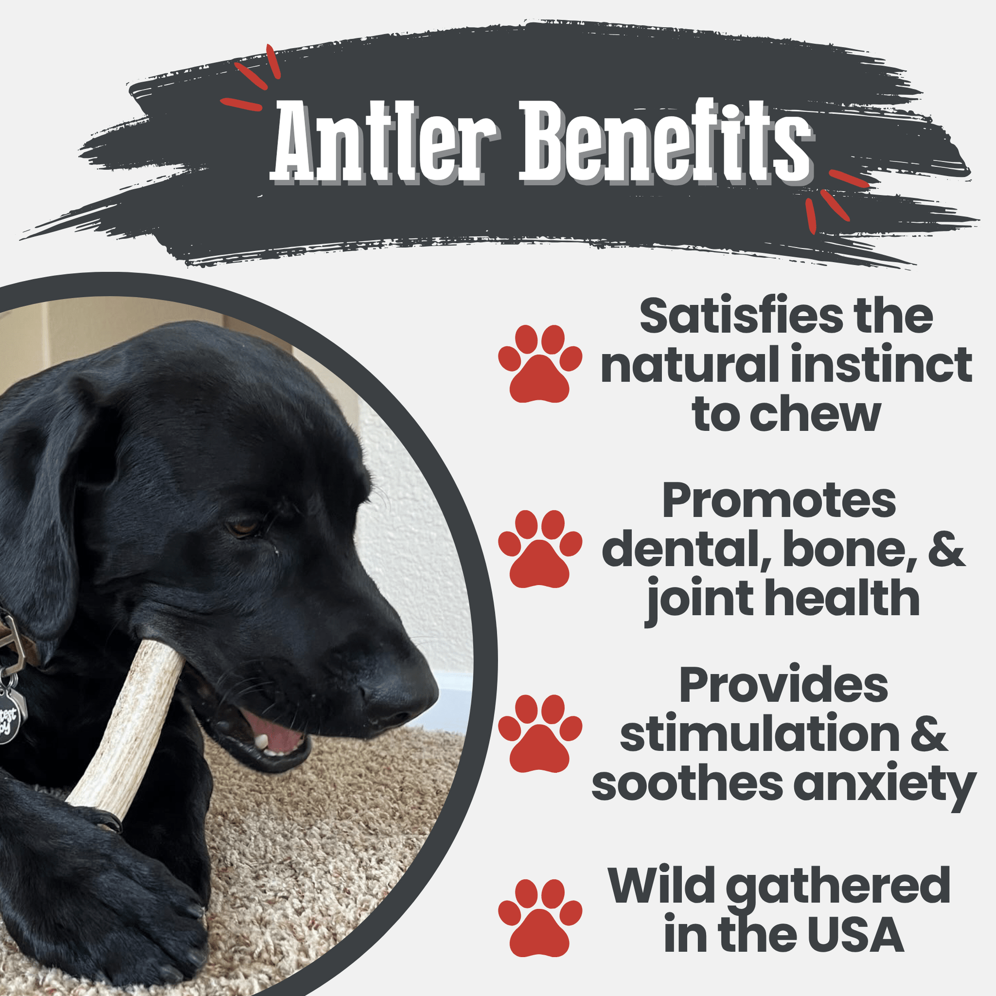 Farm To Pet Elk Antler Dog Chews