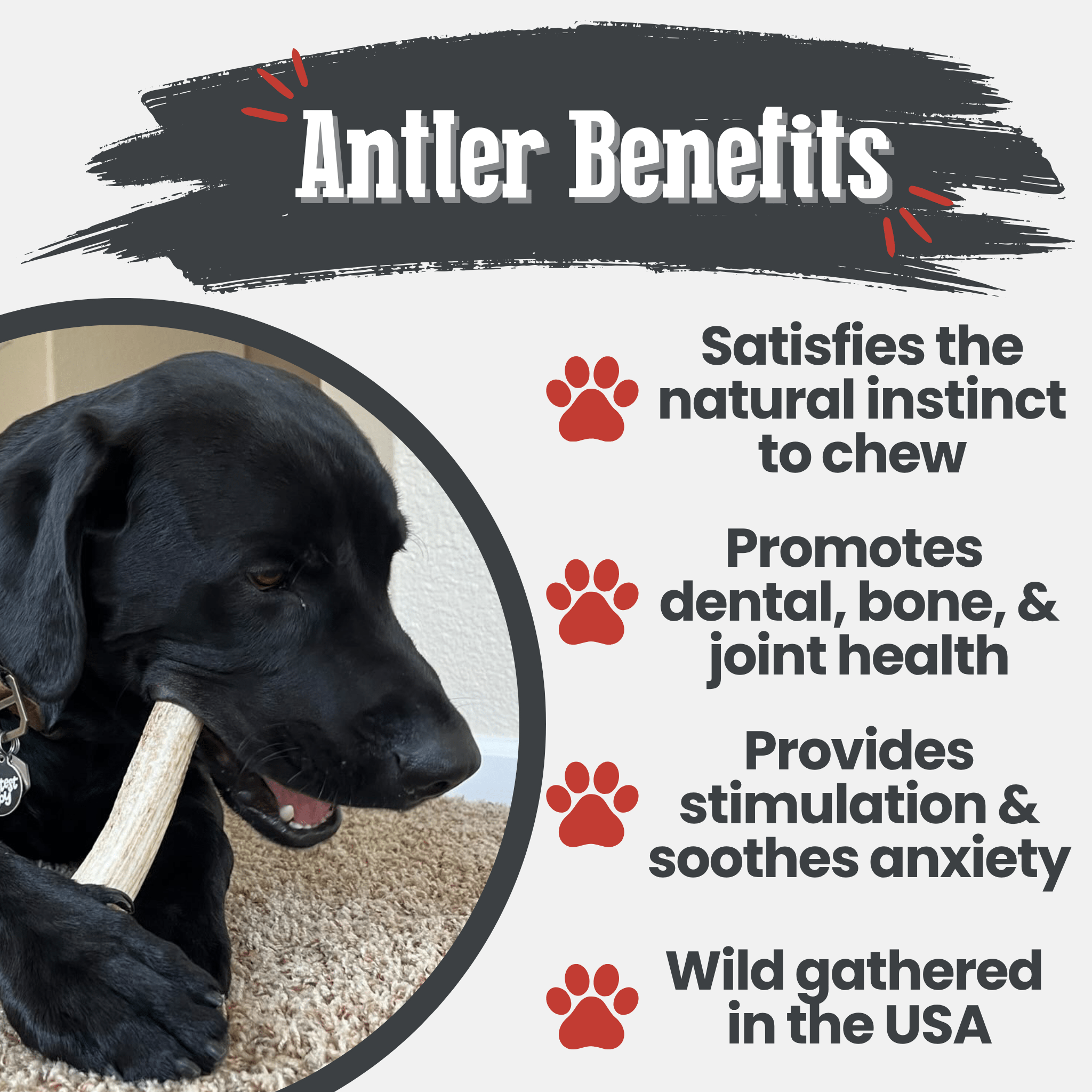 Farm To Pet Elk Antler Dog Chews