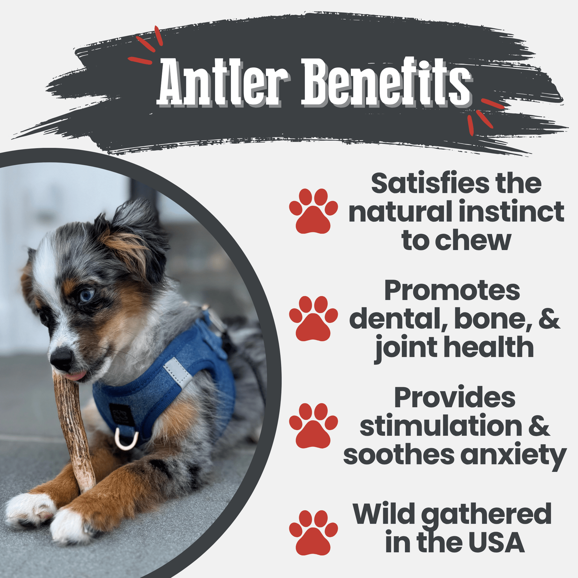 Farm To Pet Elk Antler Dog Chews