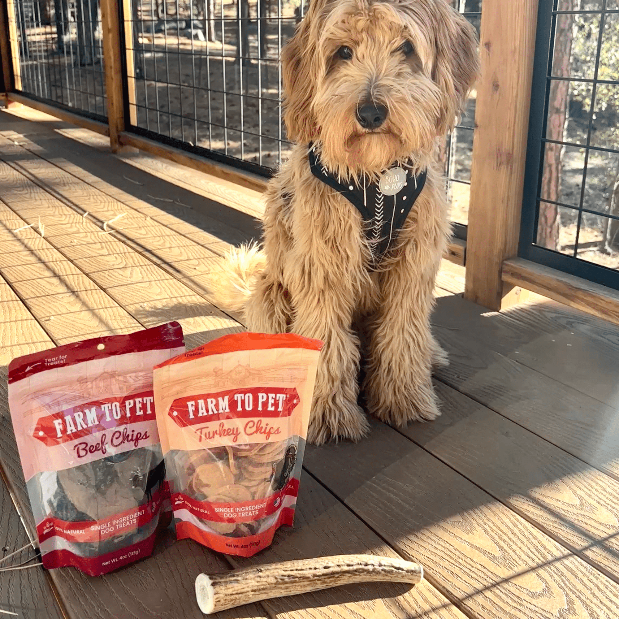 Farm To Pet Reindeer Antler Dog Chews