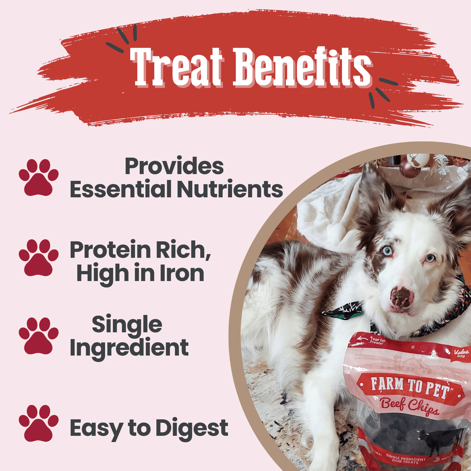 Farm To Pet Beef Chips Dog Treats