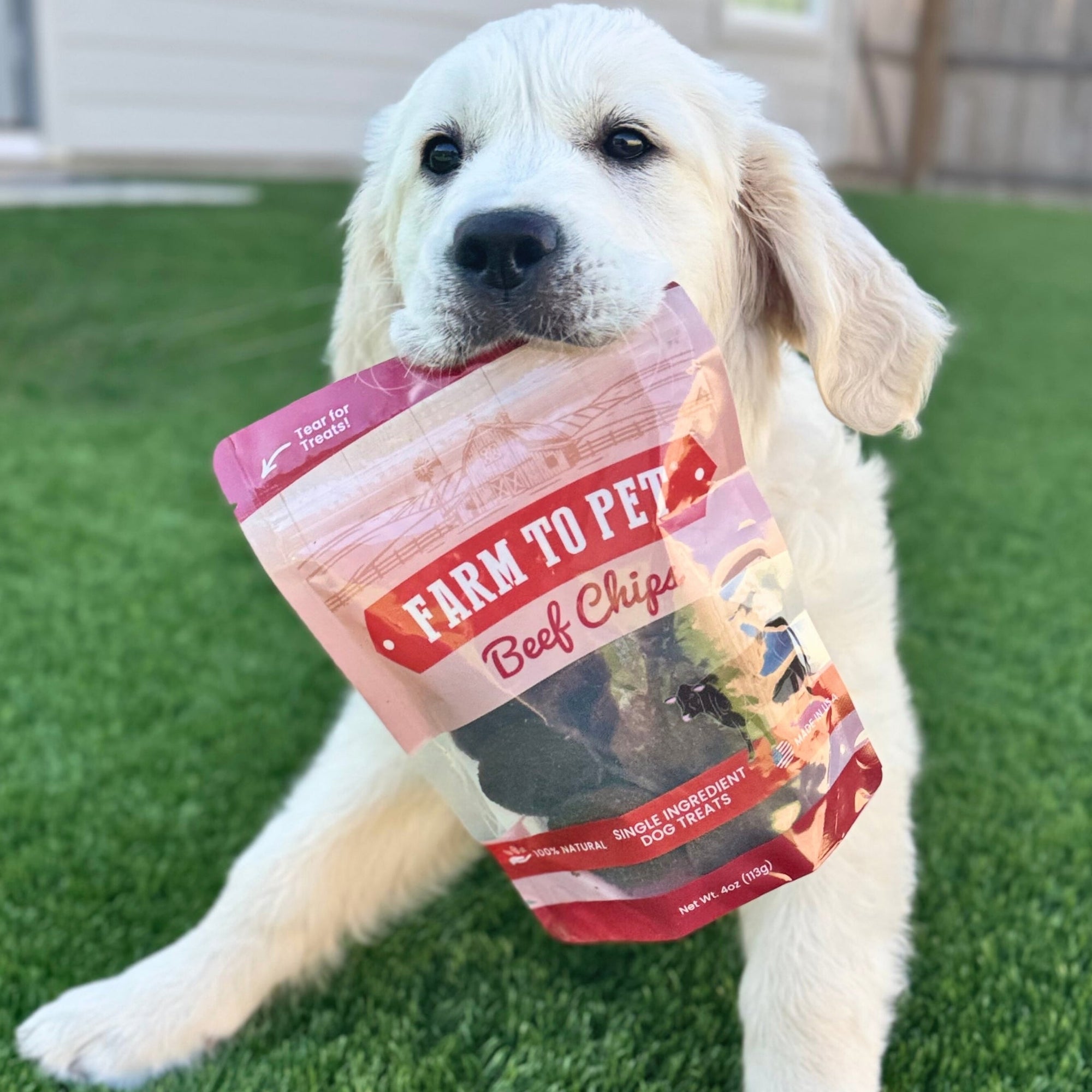 Farm To Pet Beef Chips Dog Treats