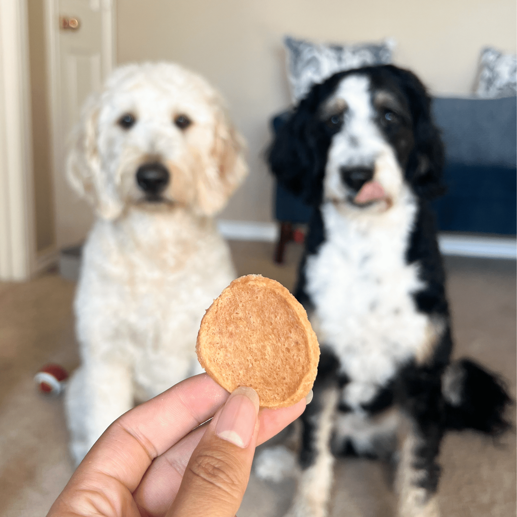 Farm To Pet Chicken Chips Dog Treats
