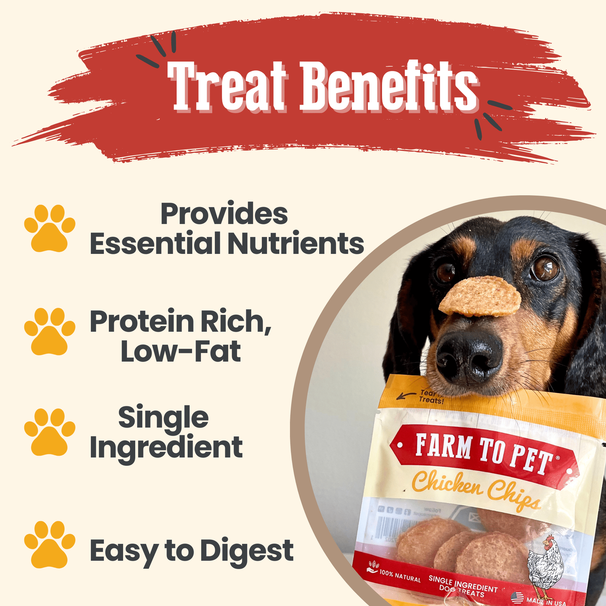 Farm To Pet Chicken Chips Dog Treat Snack Pack