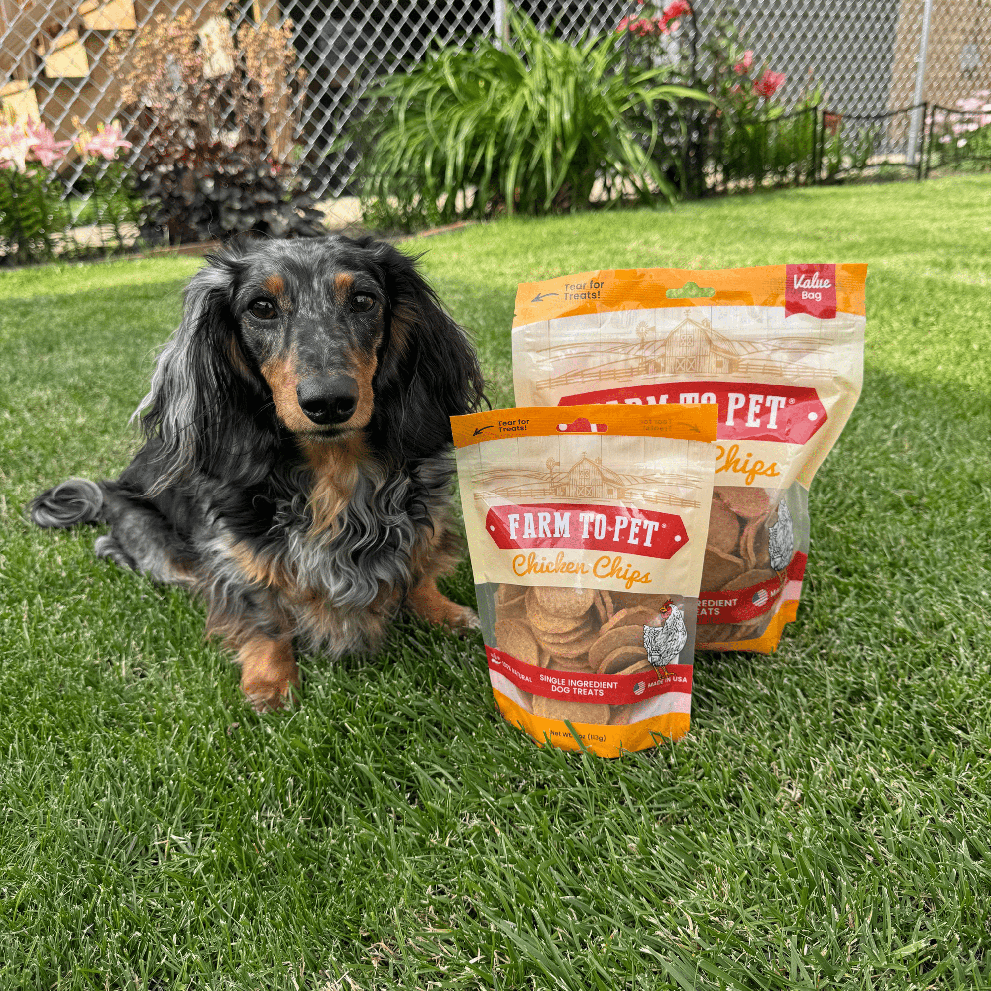Farm To Pet Chicken Chips Dog Treats
