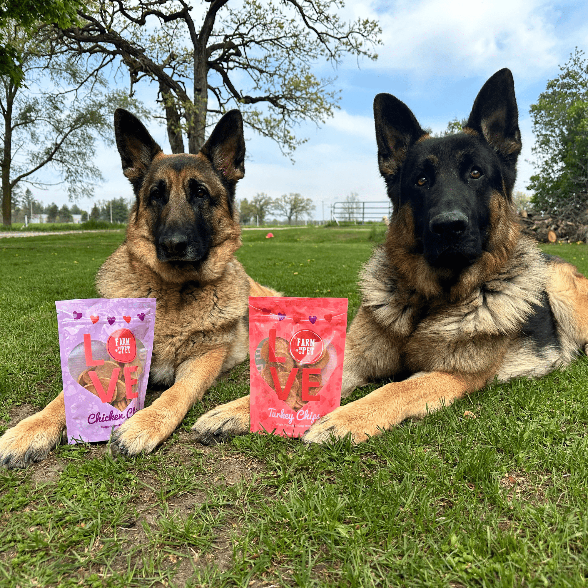 Farm To Pet Puppy Love Poultry Chip Dog Treat Duo
