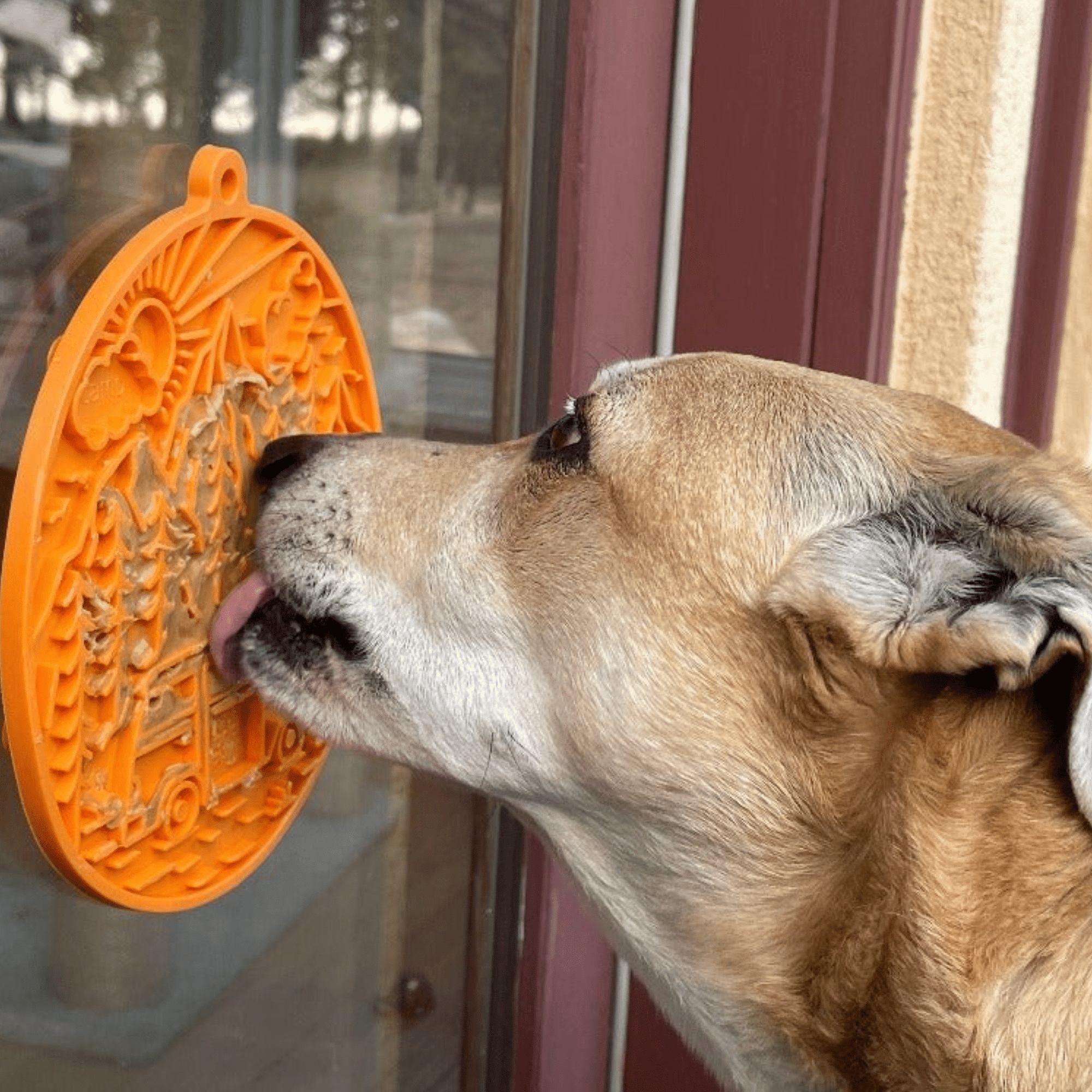 Farm To Pet Dog Lick Mats with Suction Cups