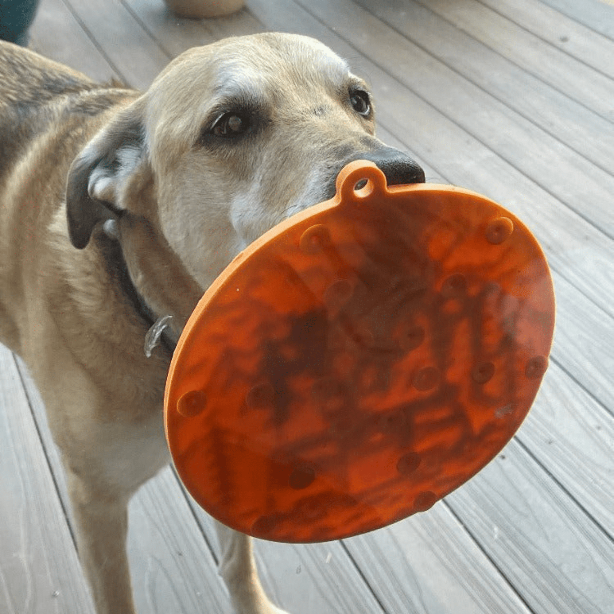 Farm To Pet Dog Lick Mats with Suction Cups