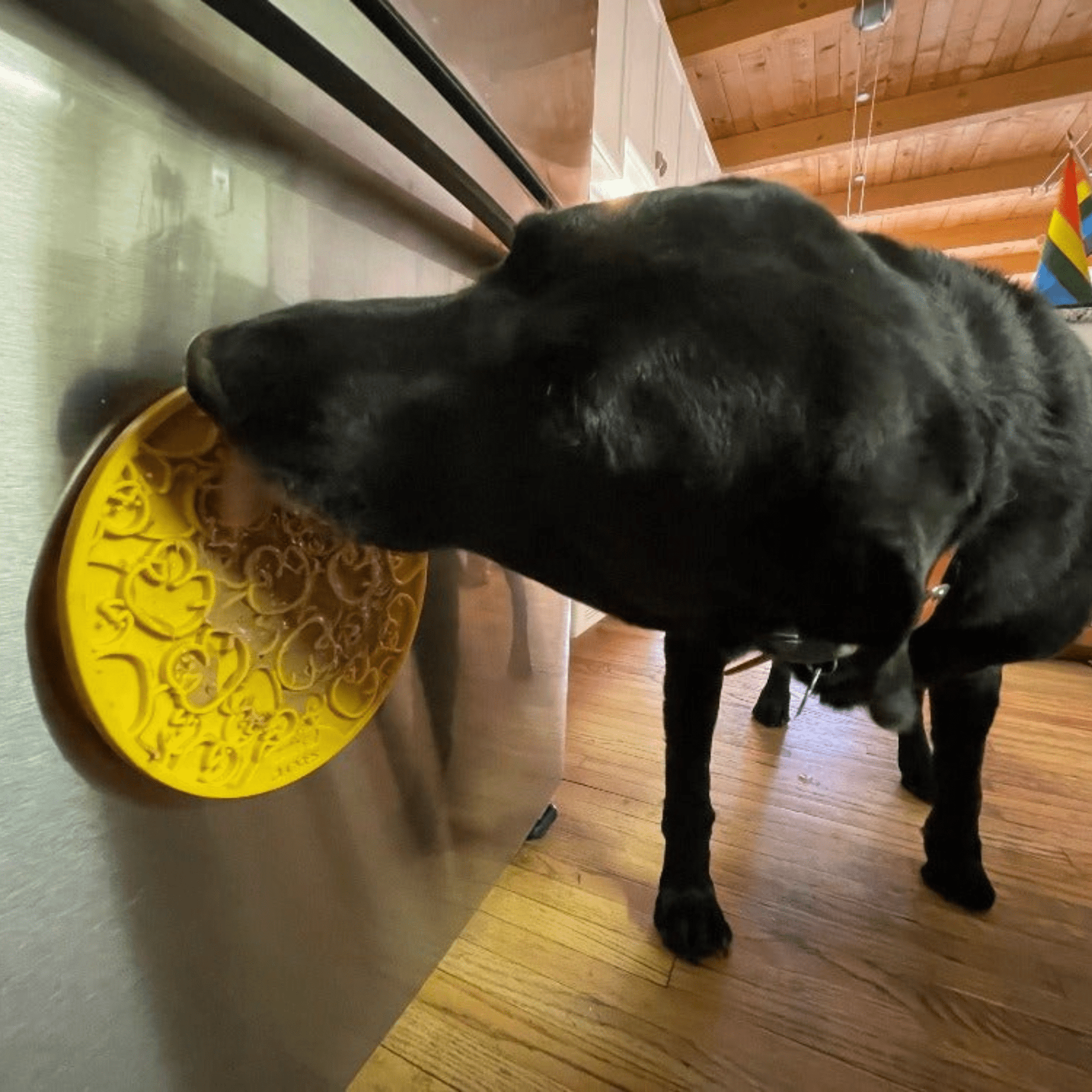 Farm To Pet Dog Lick Mats with Suction Cups