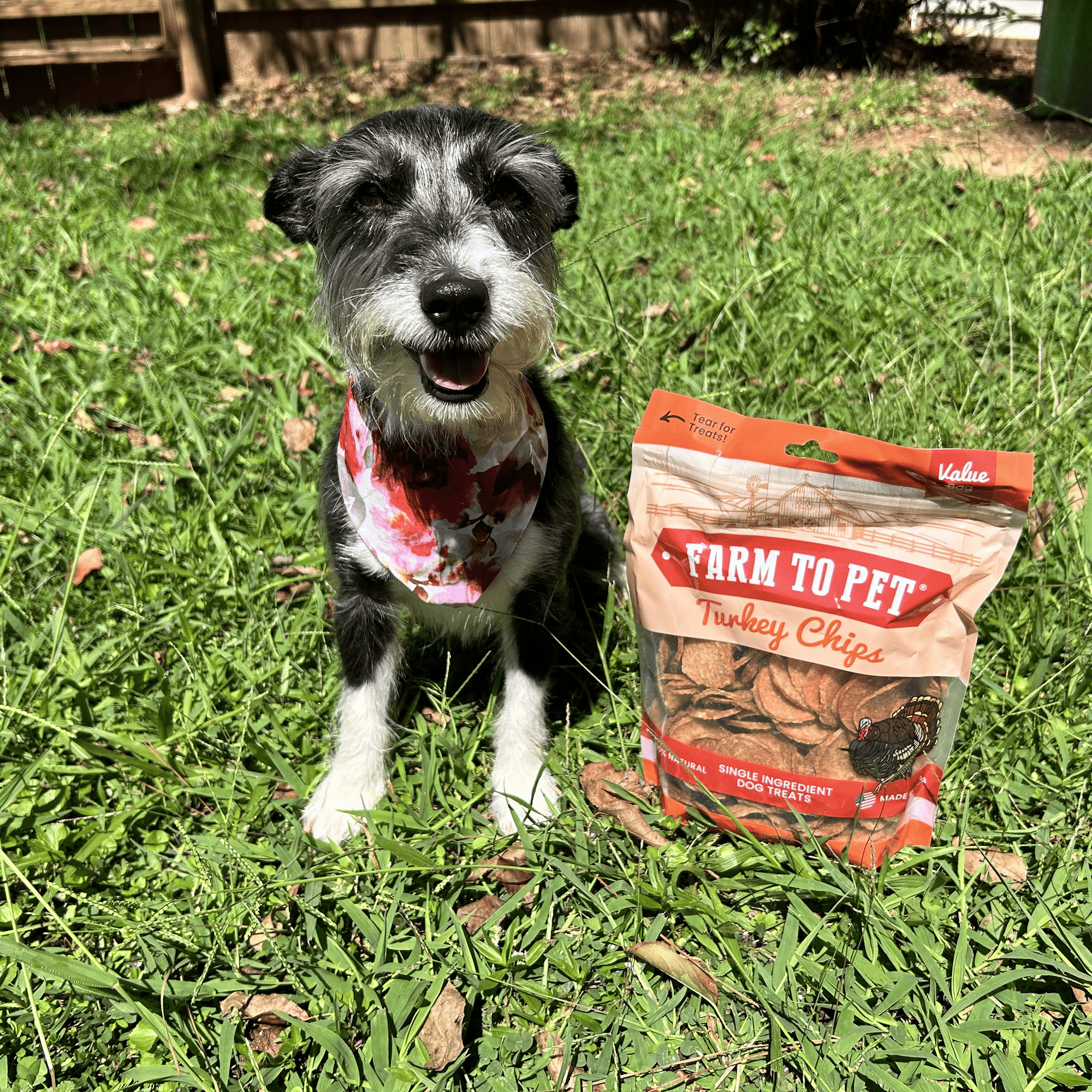 Farm To Pet Turkey Chips Dog Treats