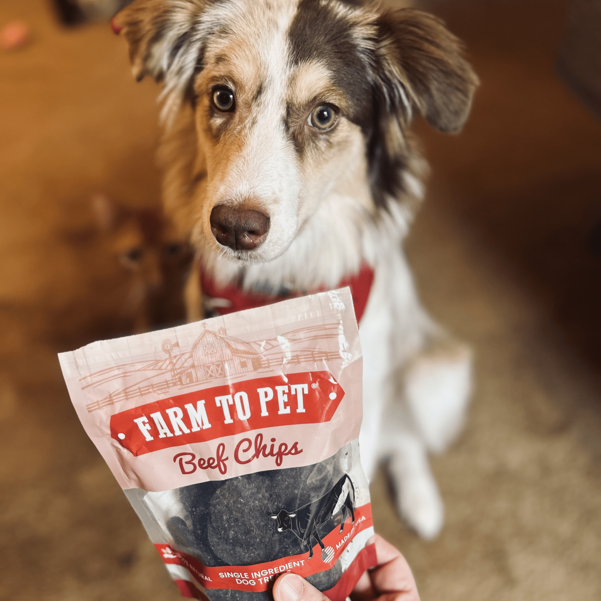 Farm To Pet Puppy Packs n Snacks Dog Treat Starter Pack