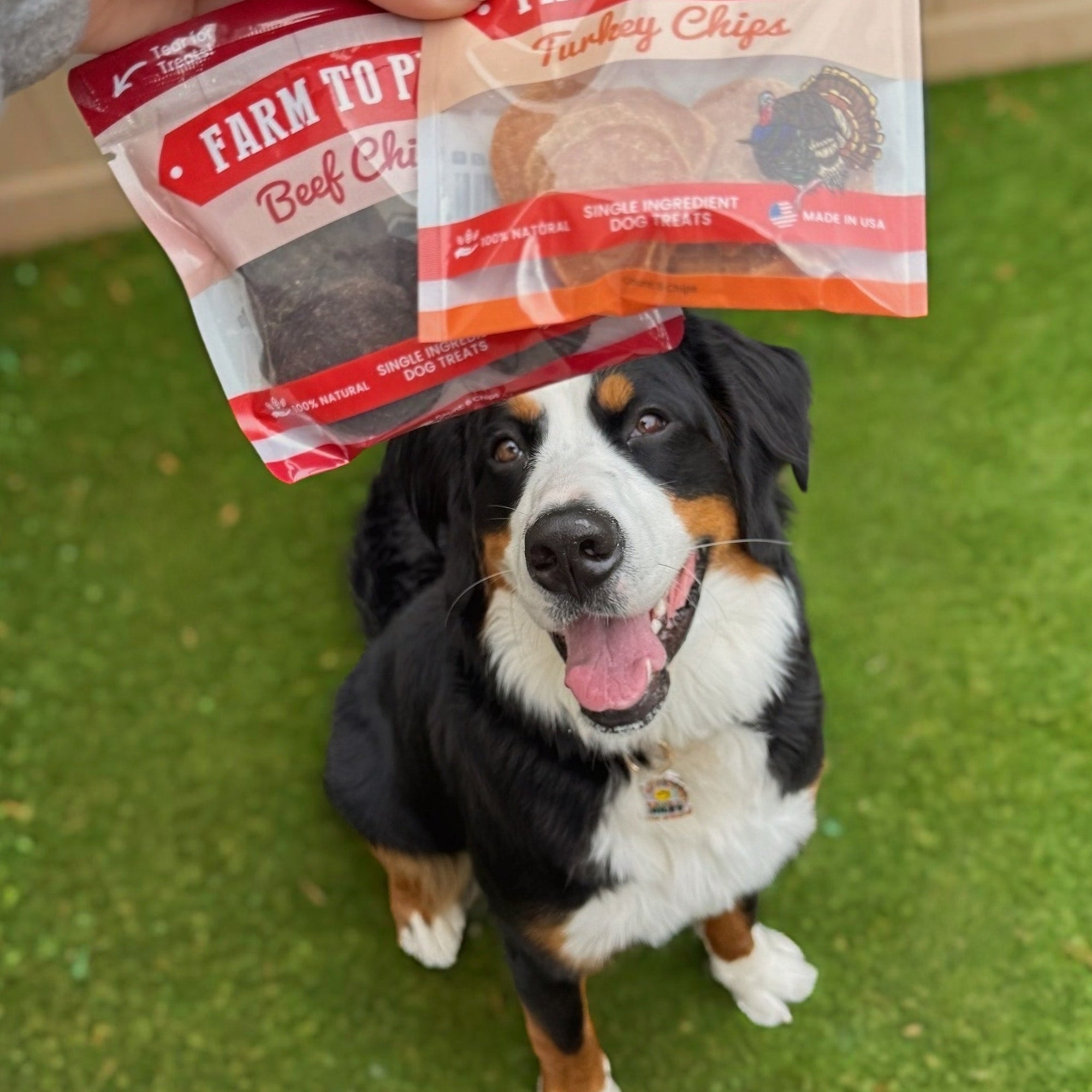 Farm To Pet Puppy Packs n Snacks Dog Treat Starter Pack