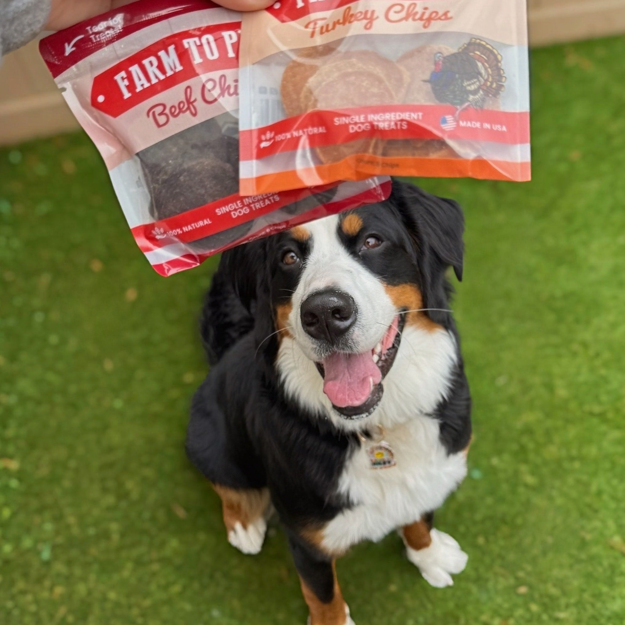 Farm To Pet Puppy Packs n Snacks Dog Treat Starter Pack