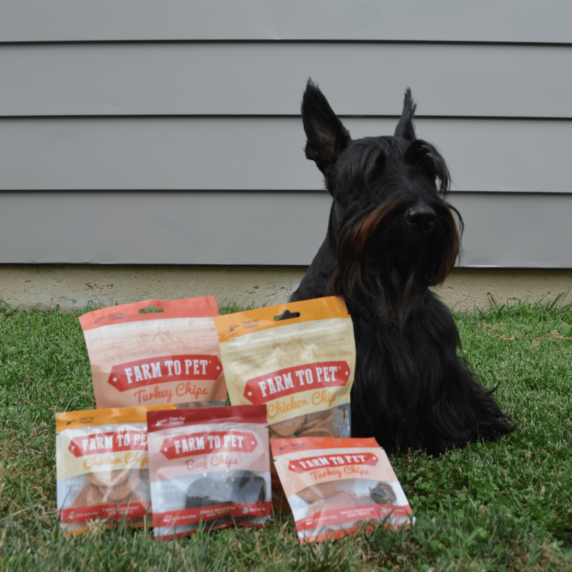 Farm To Pet Puppy Packs n Snacks Dog Treat Starter Pack