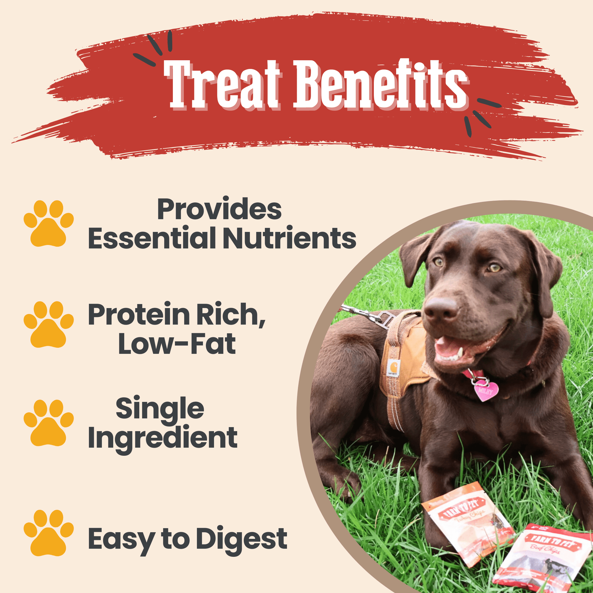 Farm To Pet Dog Treat Snack Pack Sampler