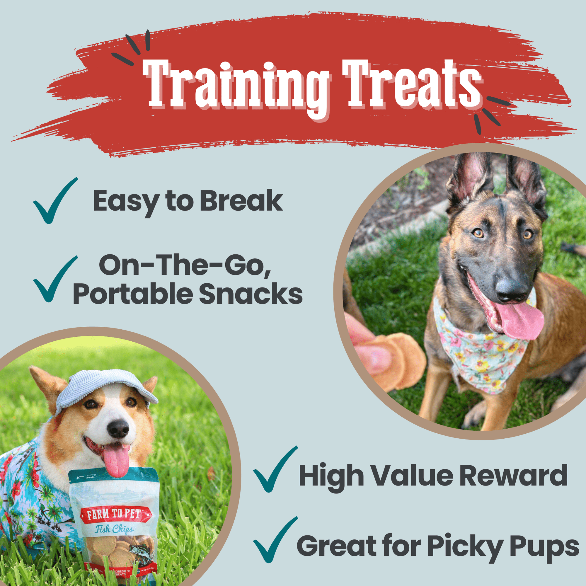 Farm To Pet Fish Chips Dog Treats