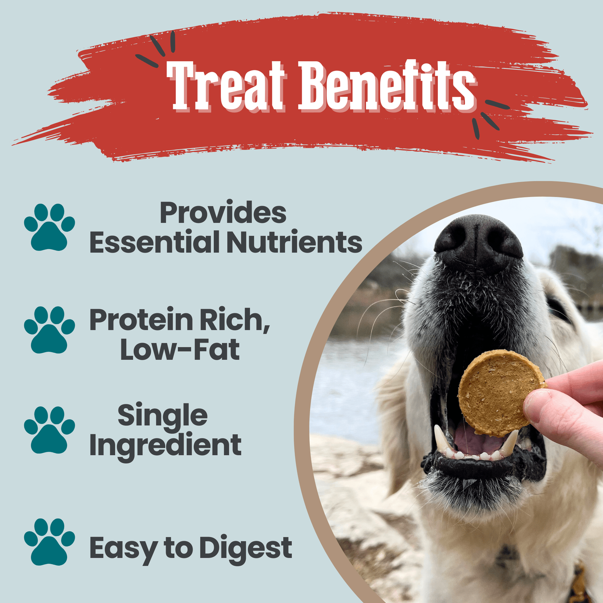 Farm To Pet Fish Chips Dog Treats