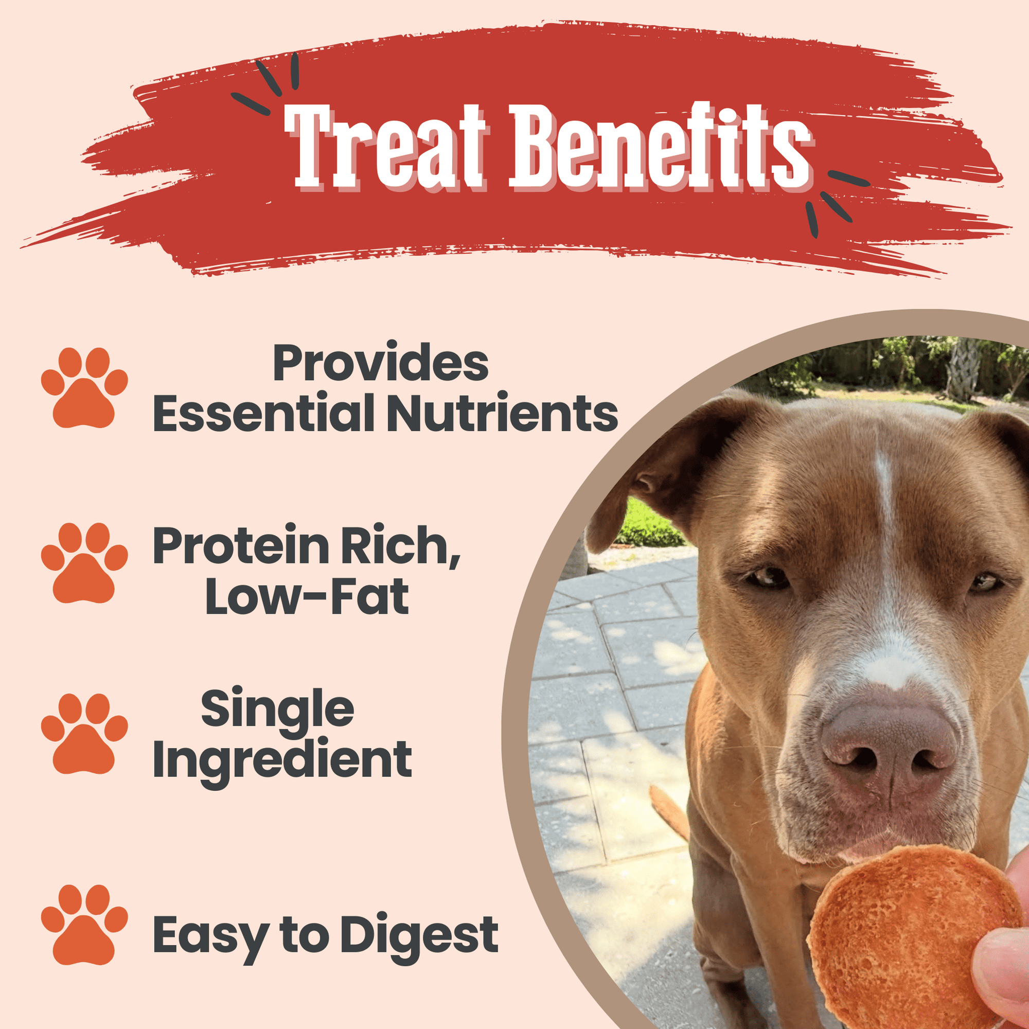 Farm To Pet Turkey Chips Dog Treats