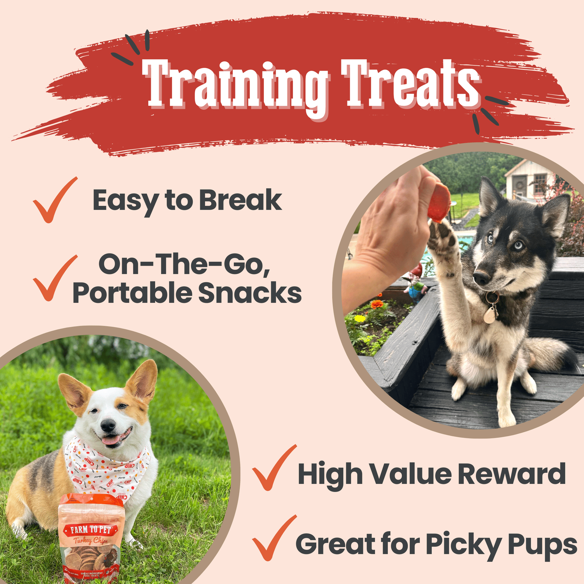 Farm To Pet Turkey Chips Dog Treats