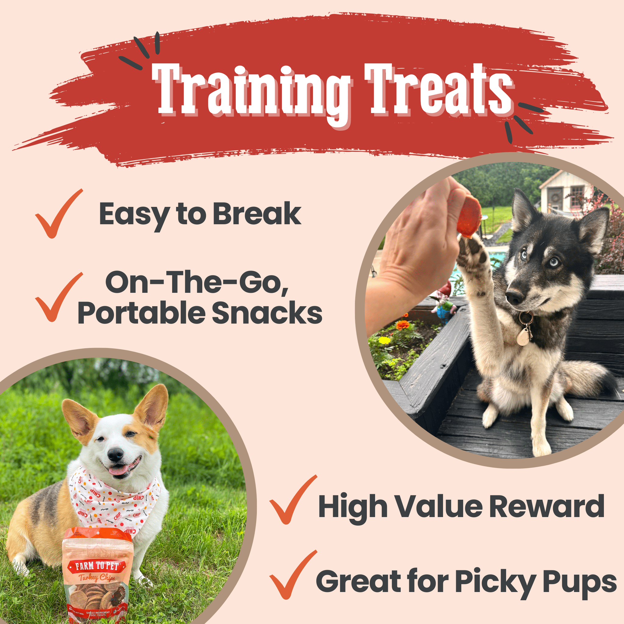 Farm To Pet Turkey Chips Dog Treats