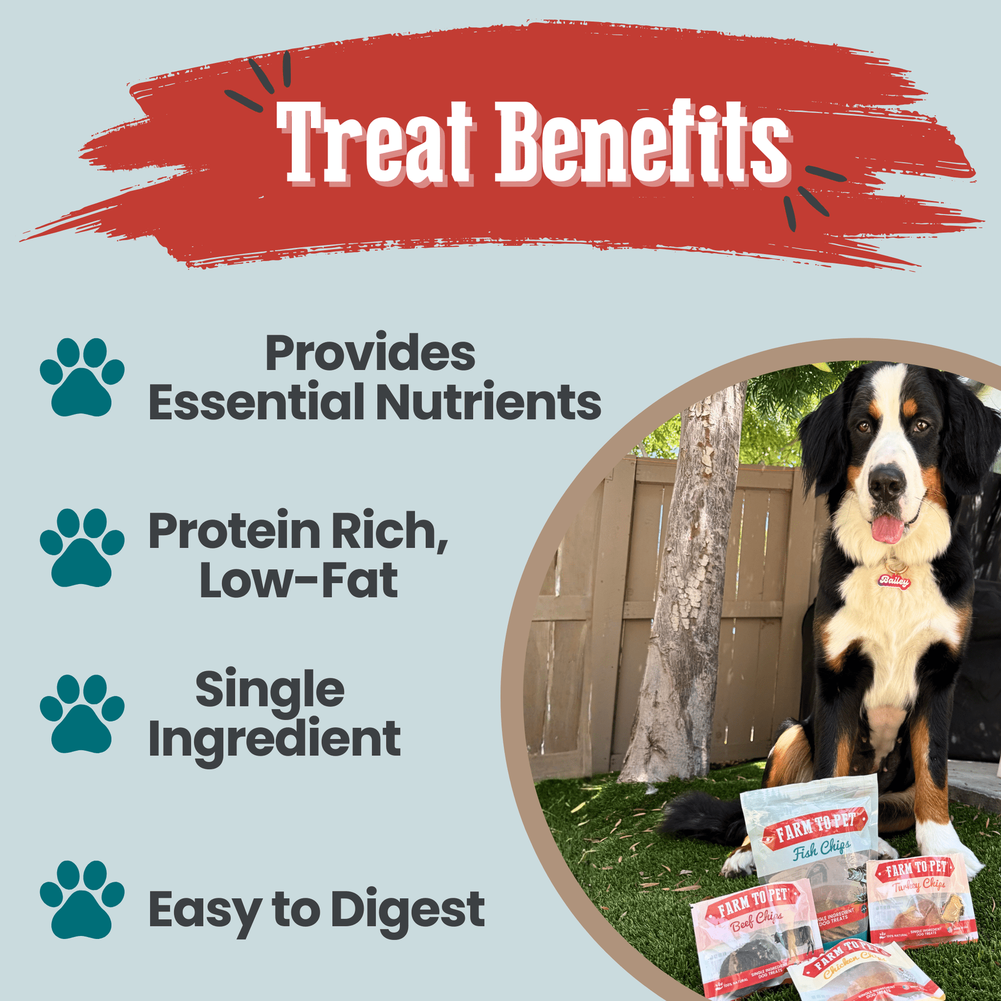 Farm To Pet Puppy Packs n Snacks Dog Treat Starter Pack