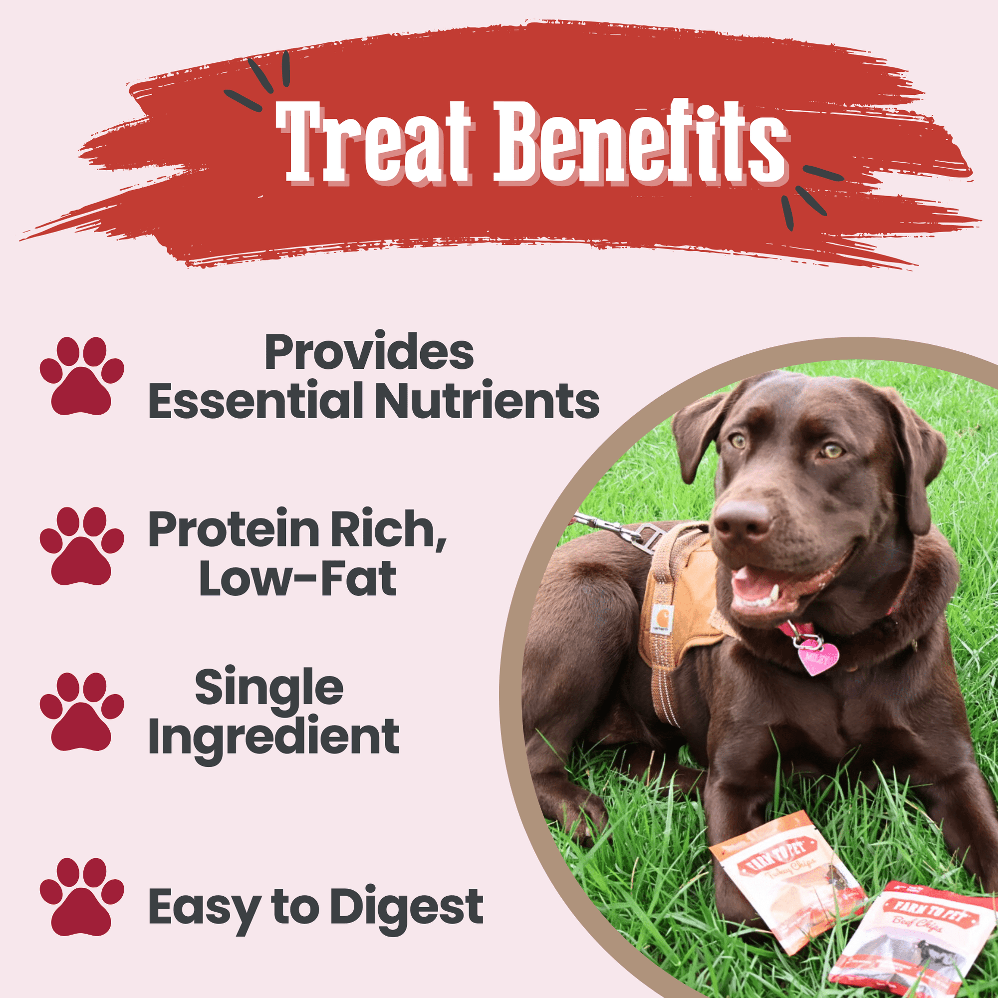 Farm To Pet Puppy Packs n Snacks Dog Treat Starter Pack