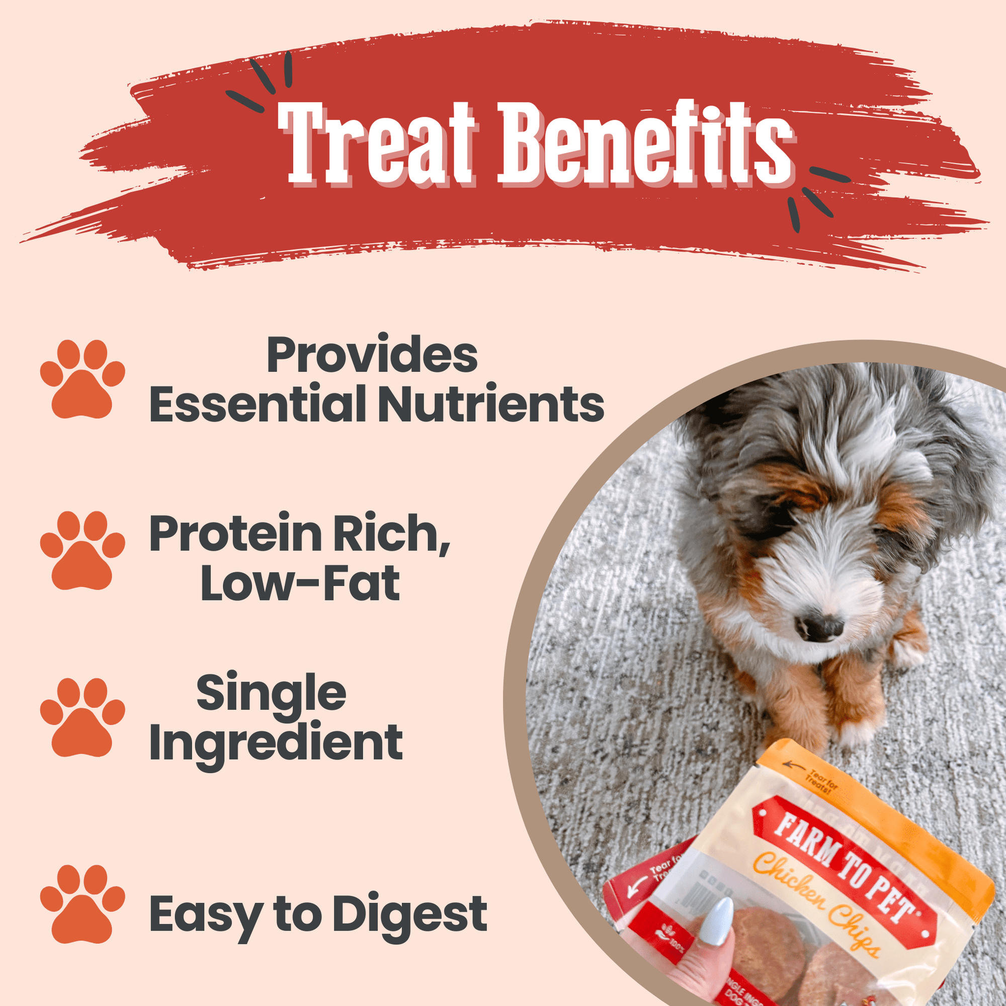 Farm To Pet Puppy Packs n Snacks Dog Treat Starter Pack
