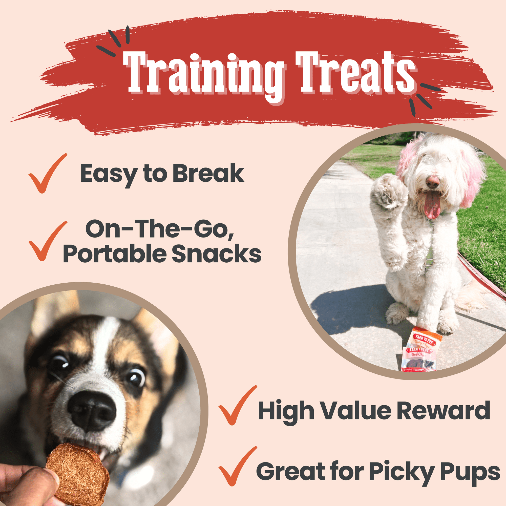 Farm To Pet Puppy Packs n Snacks Dog Treat Starter Pack