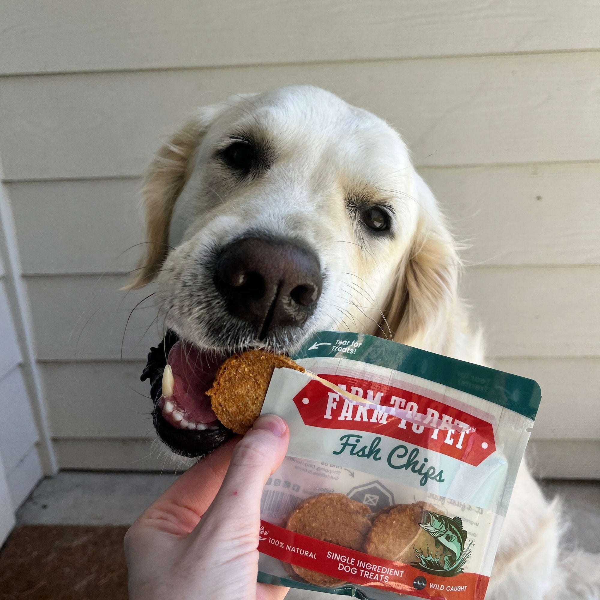 Farm To Pet Dog Treat Snack Pack Sampler