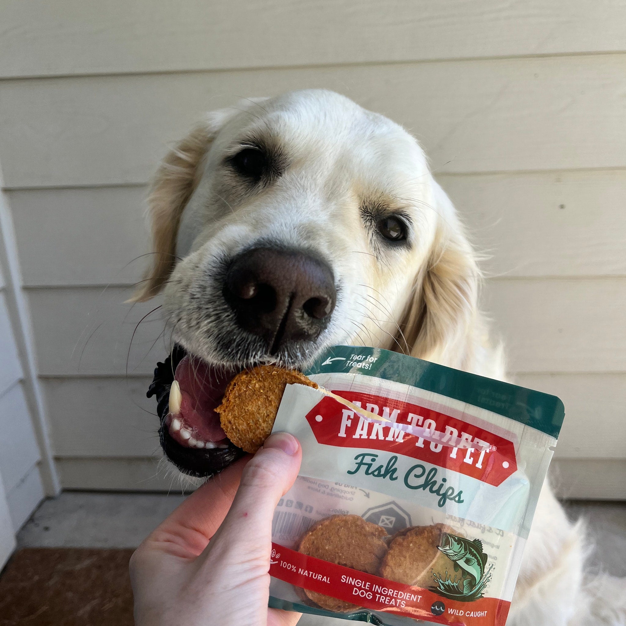 Farm To Pet Dog Treat Snack Pack Sampler