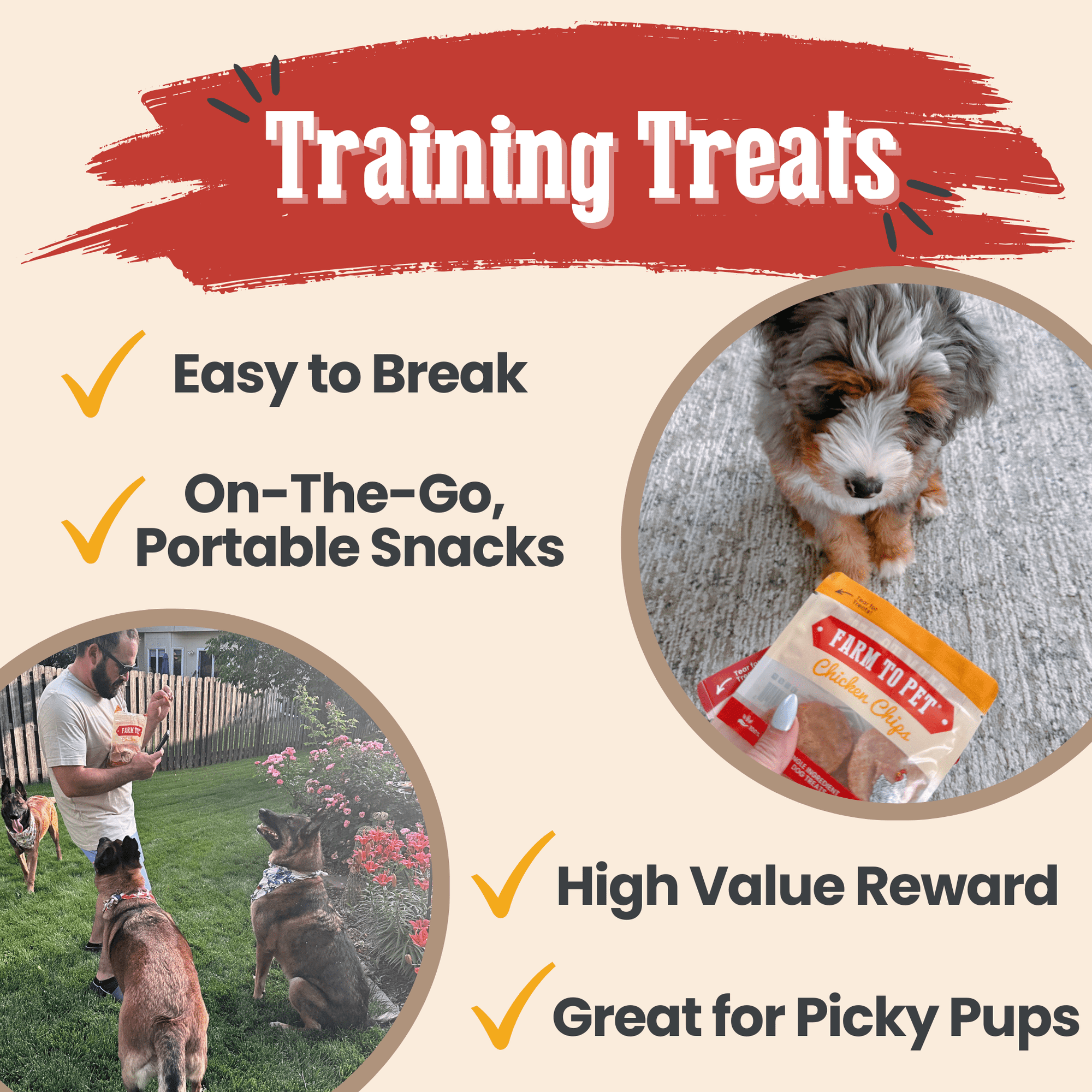 Farm To Pet Dog Treat Snack Pack Sampler