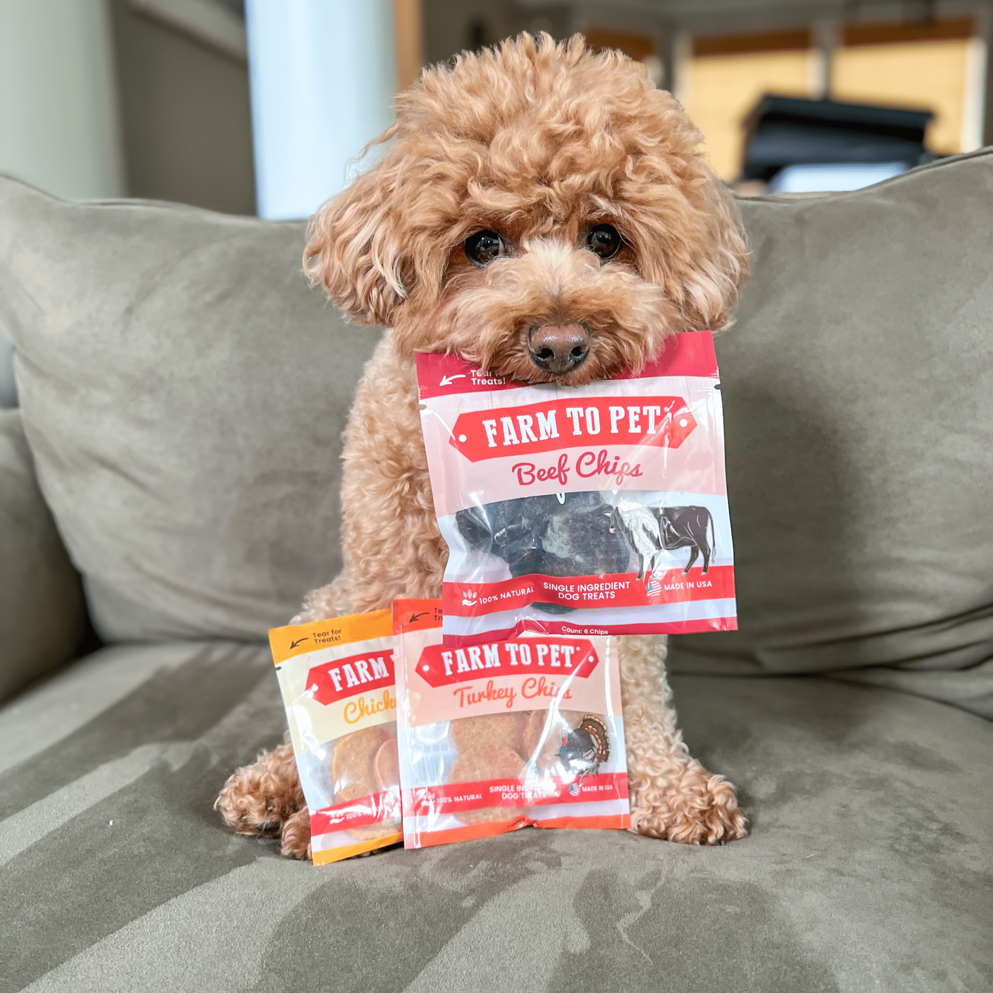 Farm To Pet Dog Treat Snack Pack Sampler