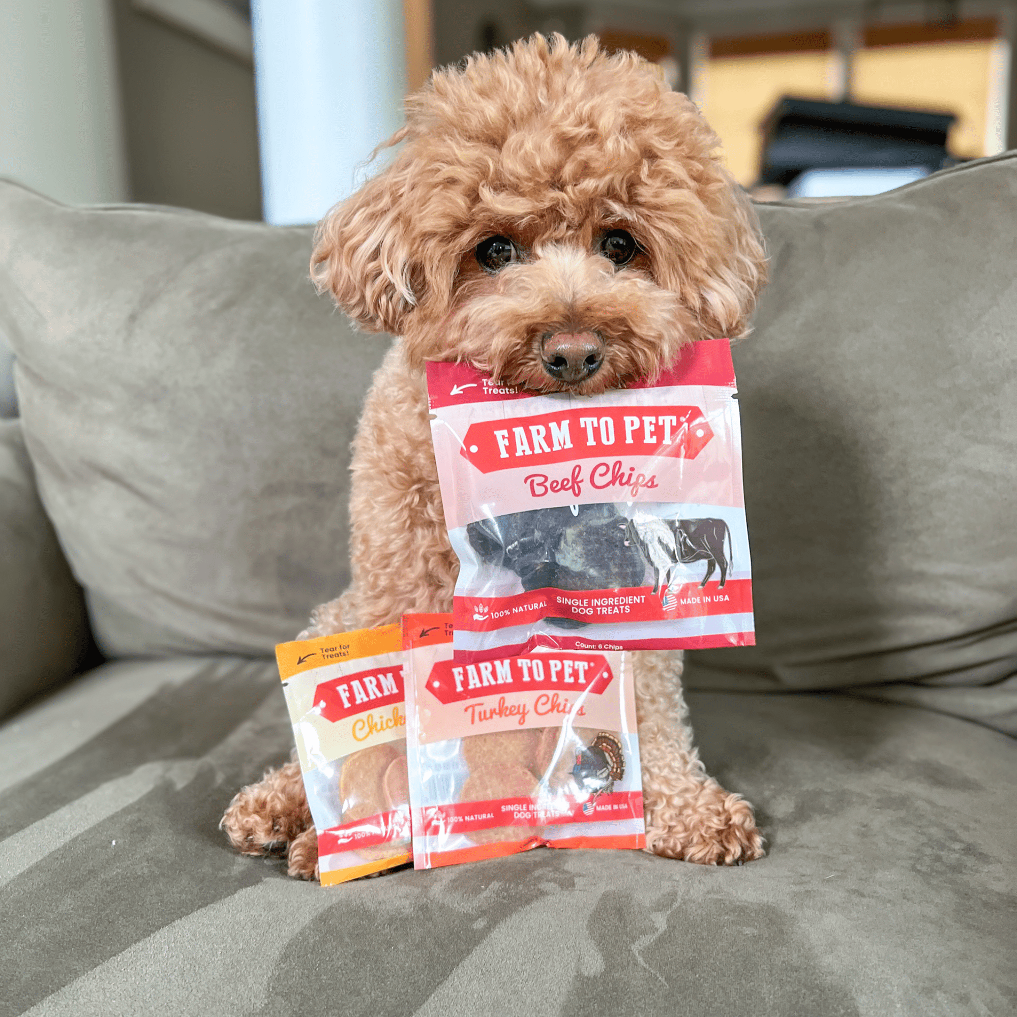 Farm To Pet Puppy Packs n Snacks Dog Treat Starter Pack
