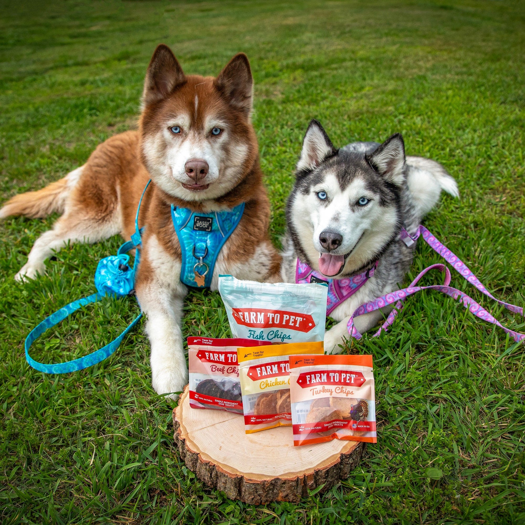 Farm To Pet Puppy Packs n Snacks Dog Treat Starter Pack
