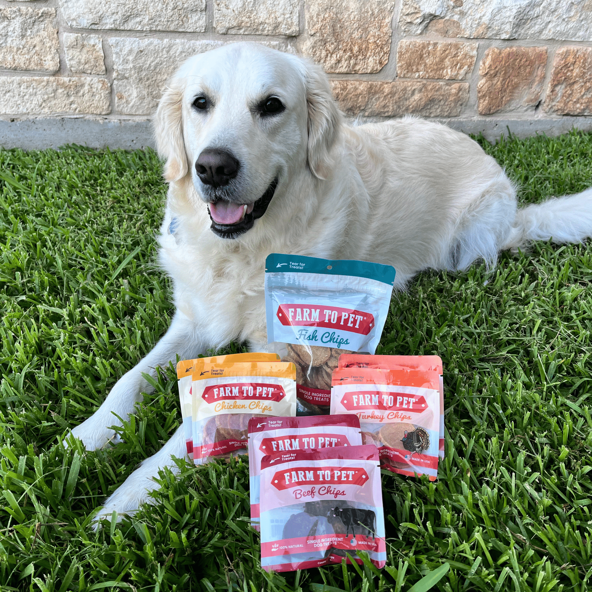 Farm To Pet Puppy Packs n Snacks Dog Treat Starter Pack