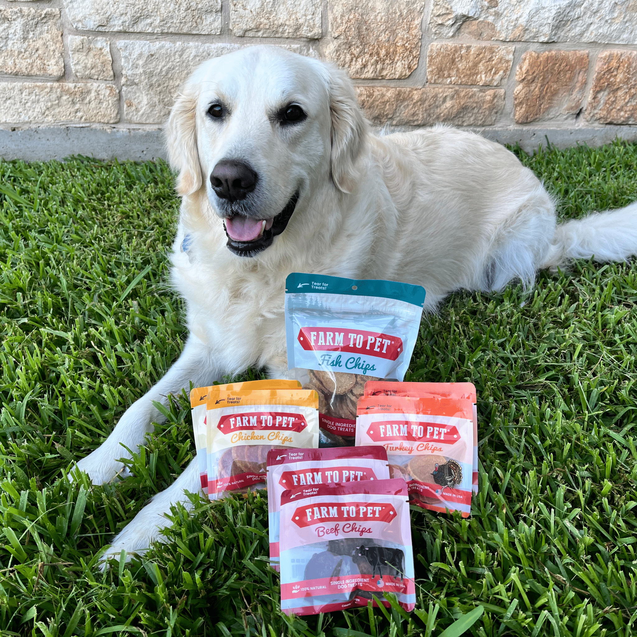 Farm To Pet Puppy Packs n Snacks Dog Treat Starter Pack