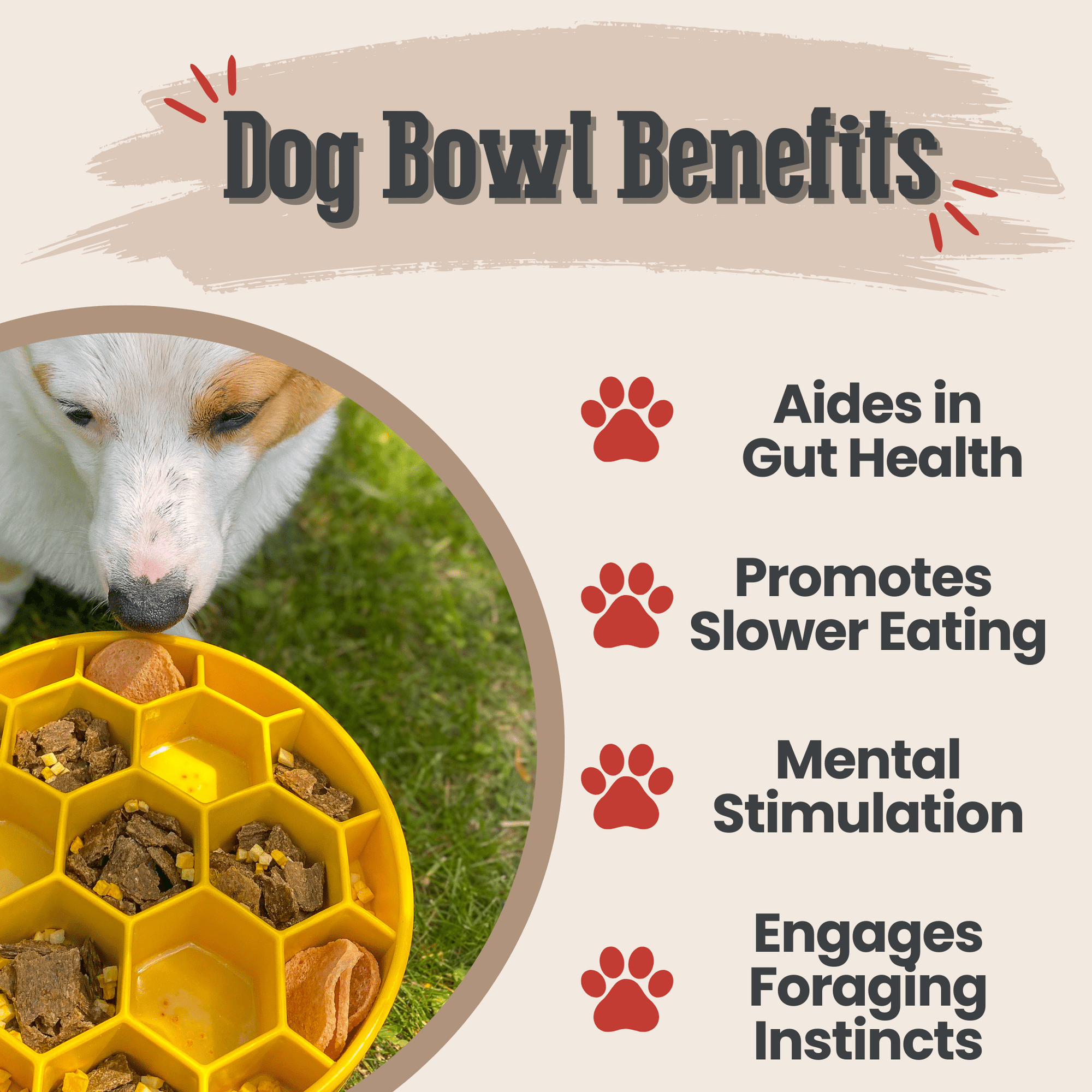 Farm To Pet Slow Feeder Dog Bowls