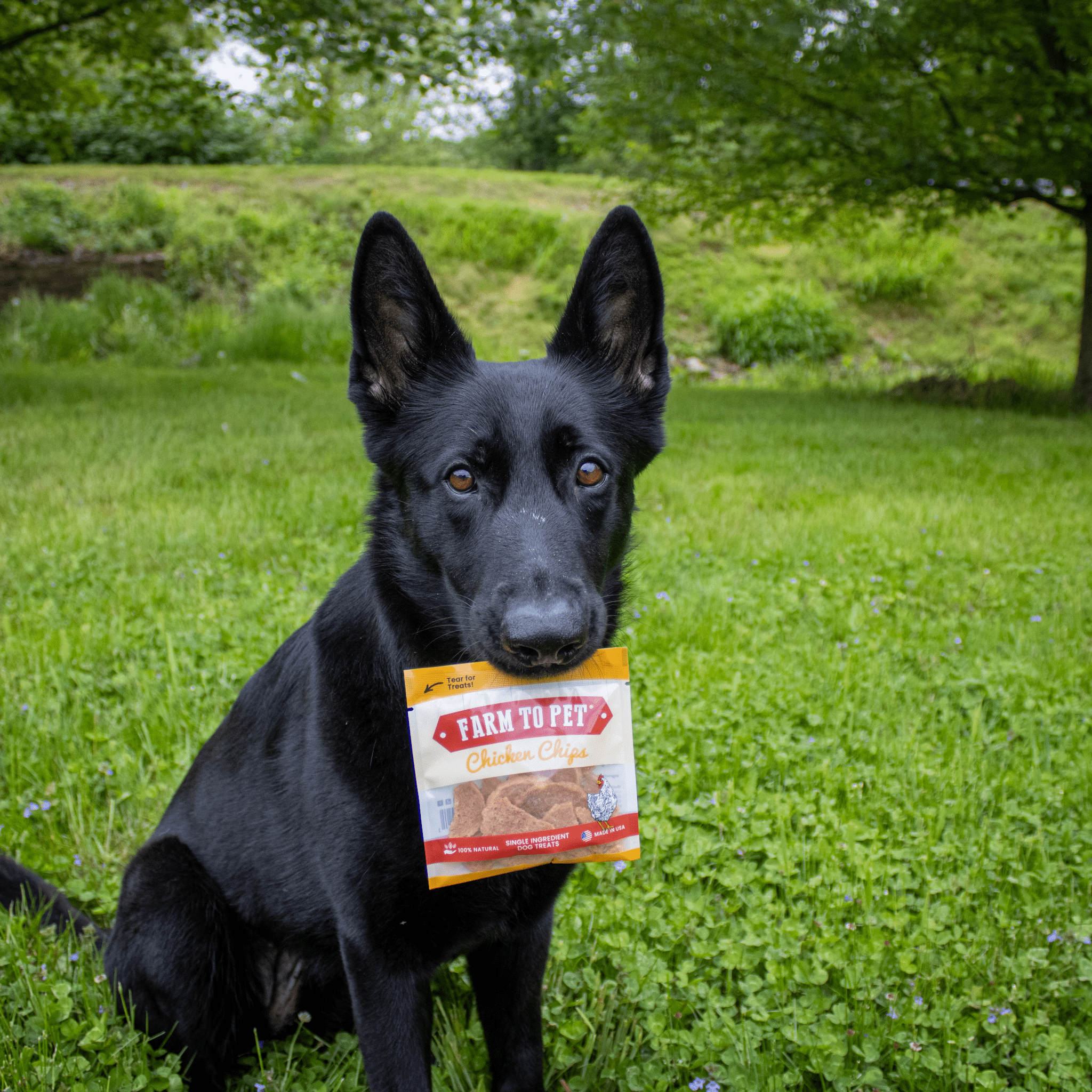 Farm To Pet Chicken Chips Dog Treat Snack Pack