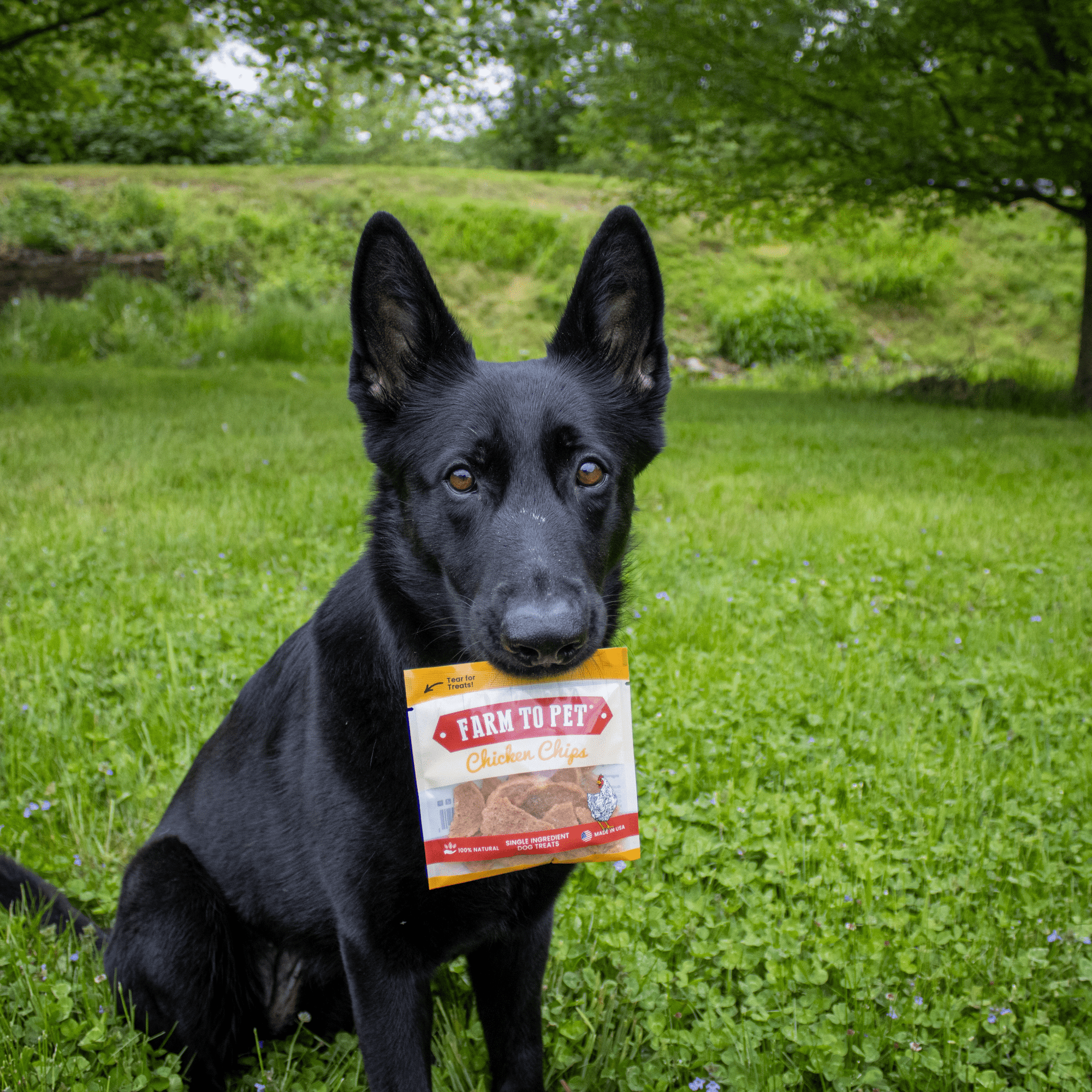 Farm To Pet Chicken Chips Dog Treat Snack Pack
