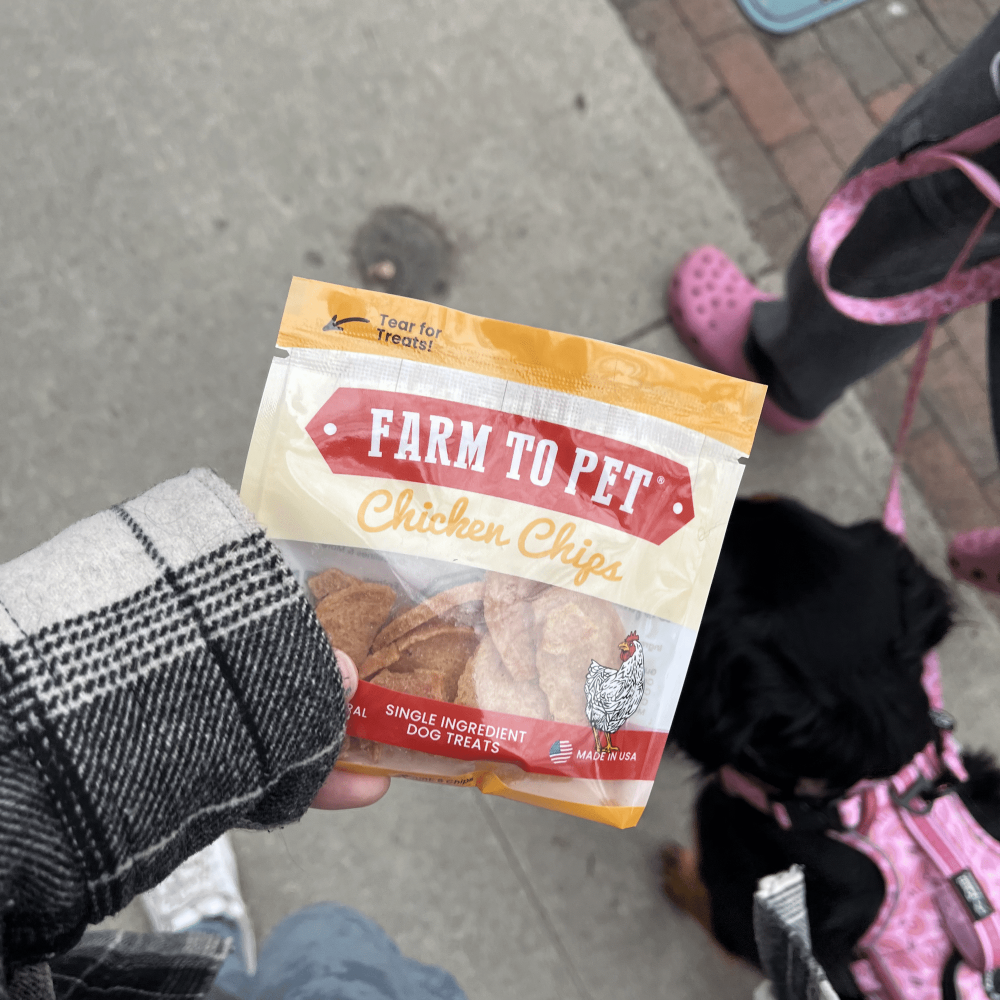 Farm To Pet Chicken Chips Dog Treat Snack Pack