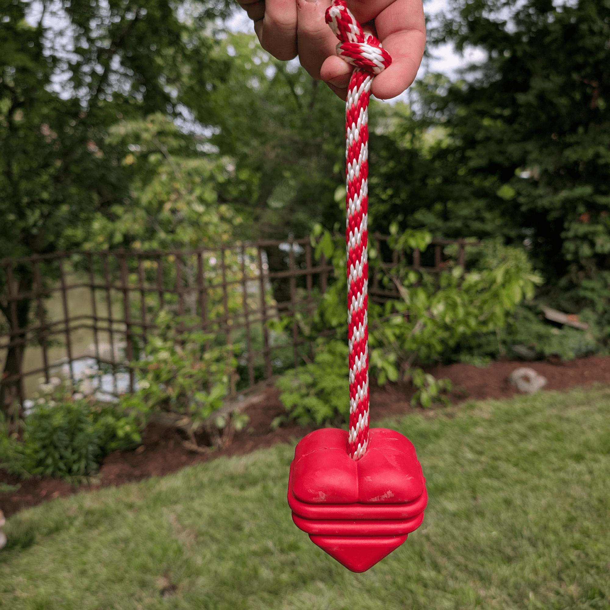 Farm To Pet Chew Toys for Dogs