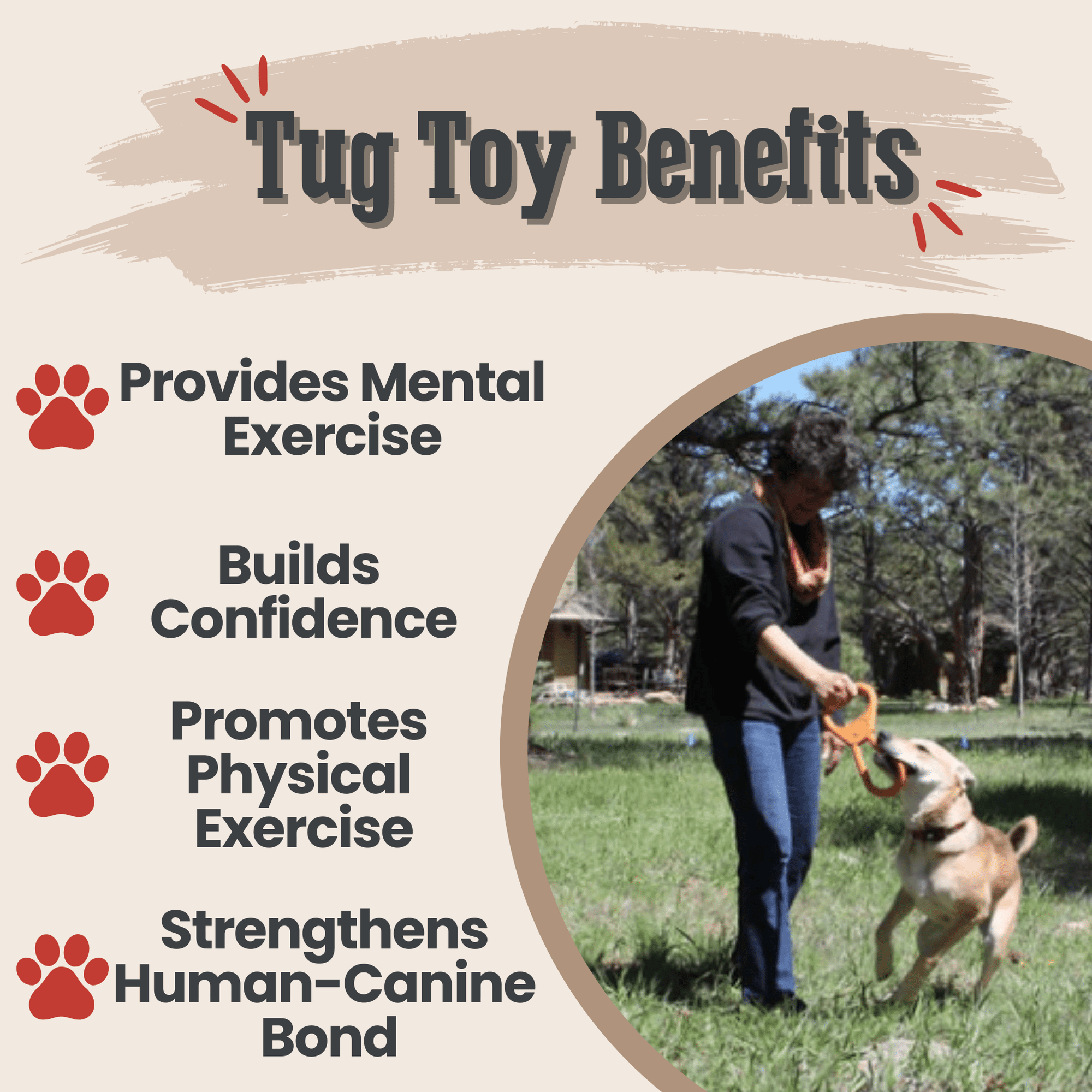 Farm To Pet Chew Toys for Dogs